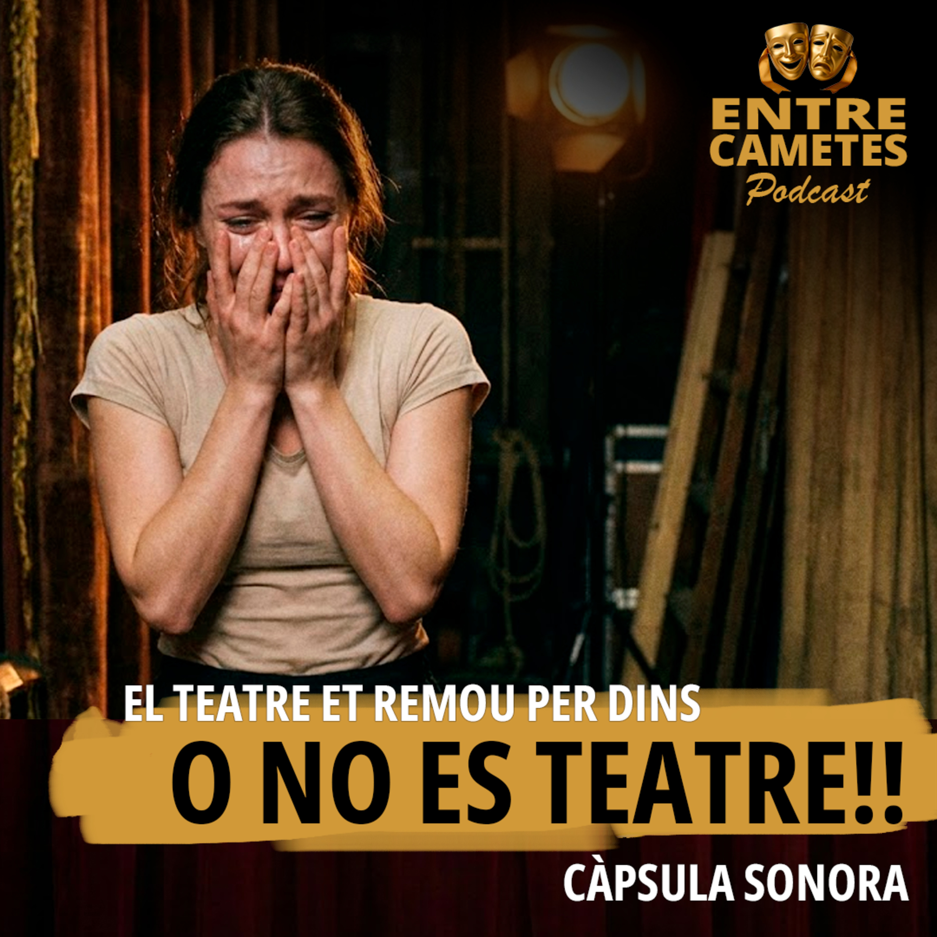 Capítol 15 - El teatre et remou per dins episode artwork