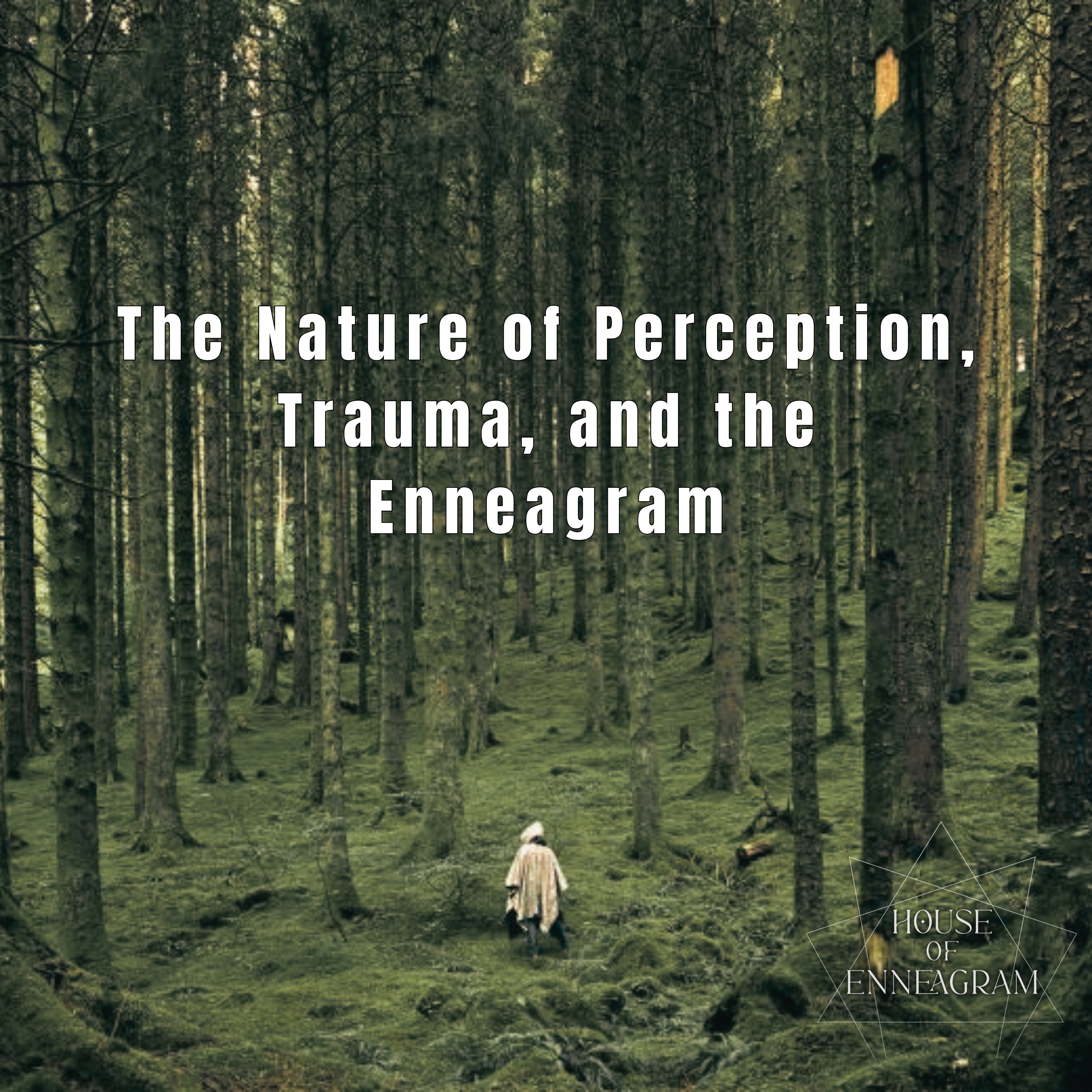 The Nature of Perception, Trauma, and the Enneagram