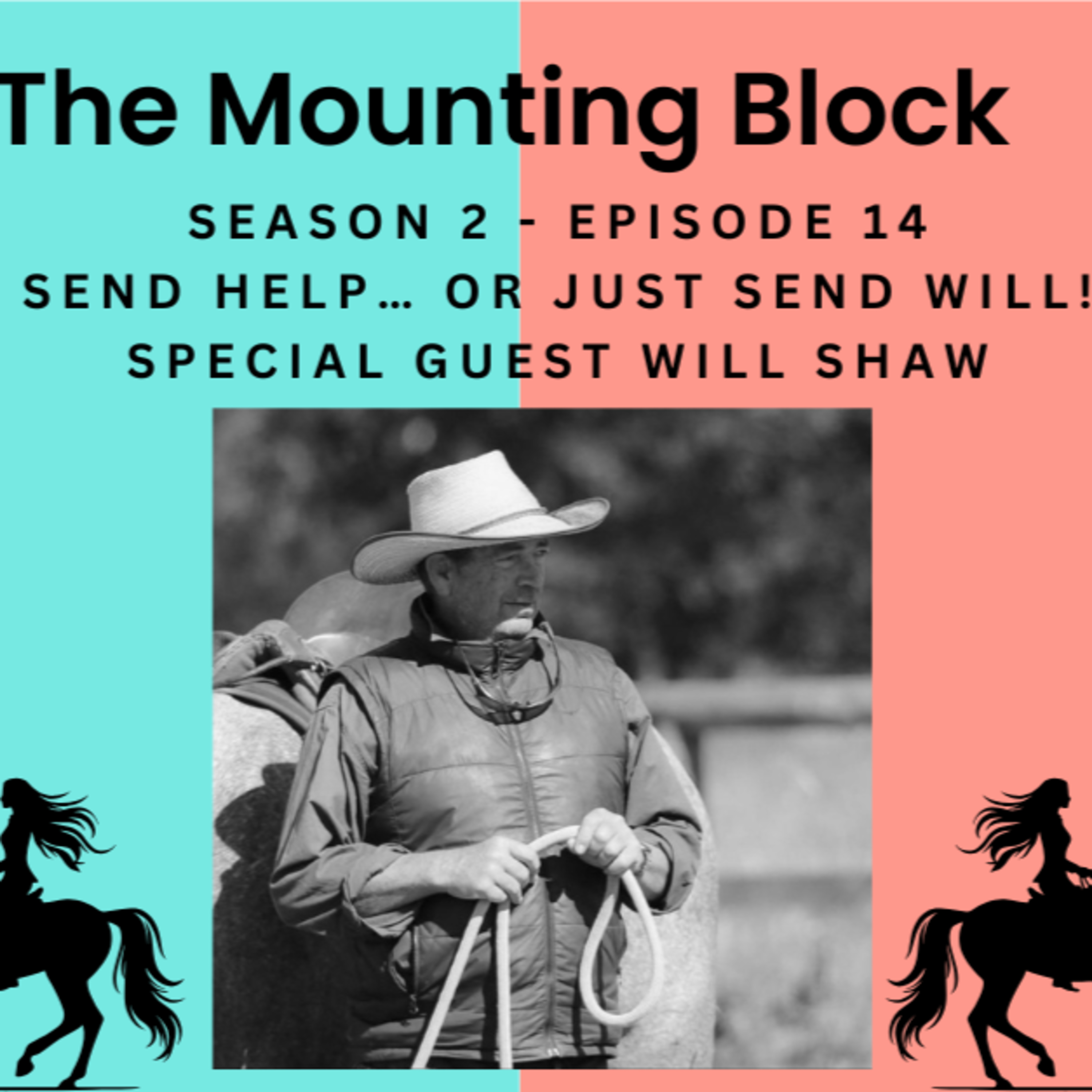 S2 EP 14 Send Help… Or Just Send Will! Special guest Will Shaw episode artwork