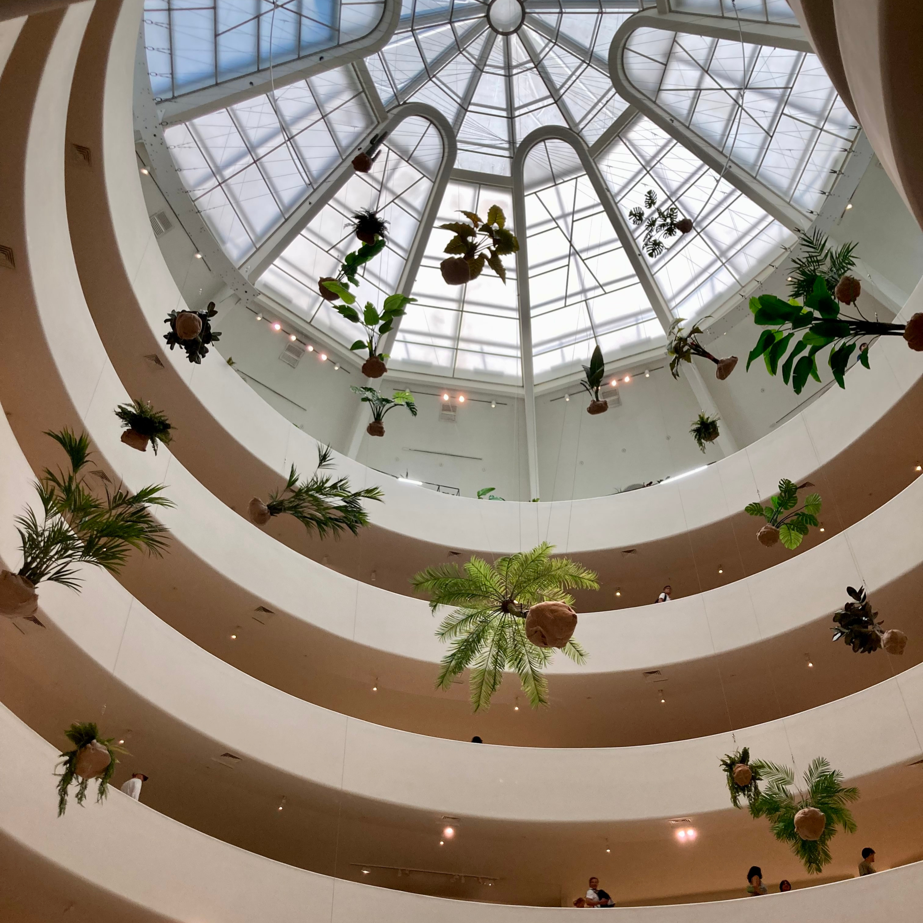 Sweetspot Hour 微甜時光