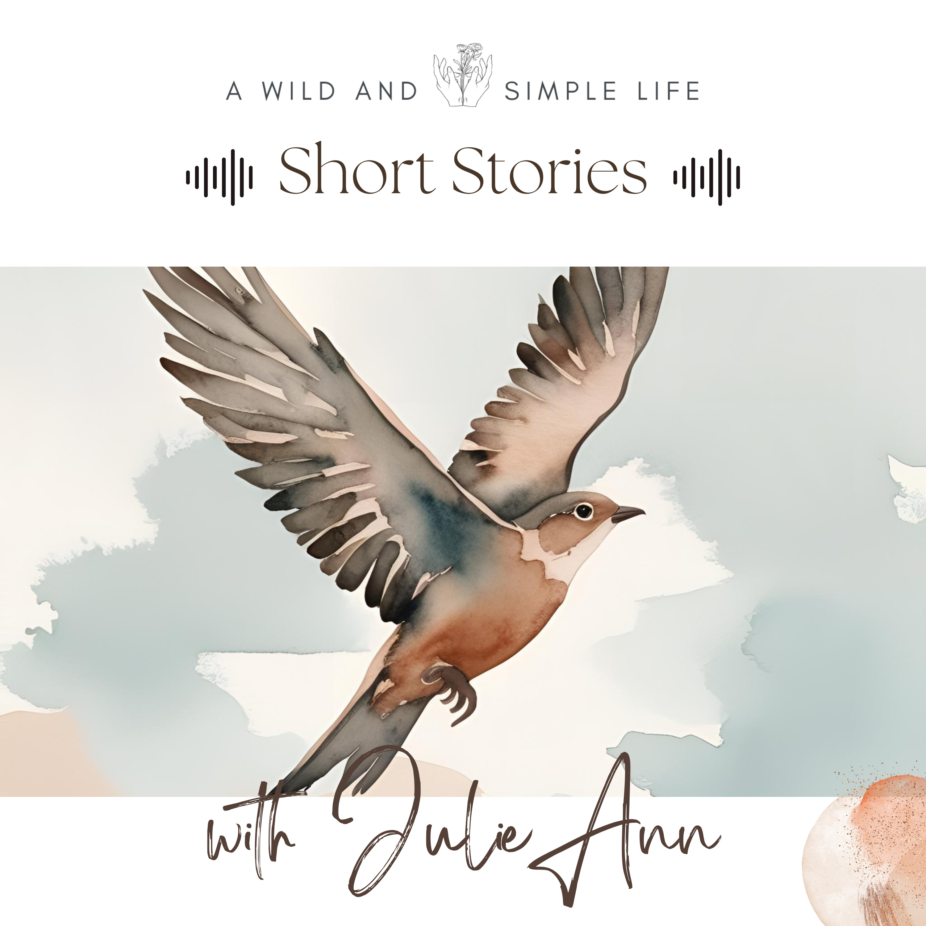 A Bird's-Eye View - A Cozy Short Story episode artwork