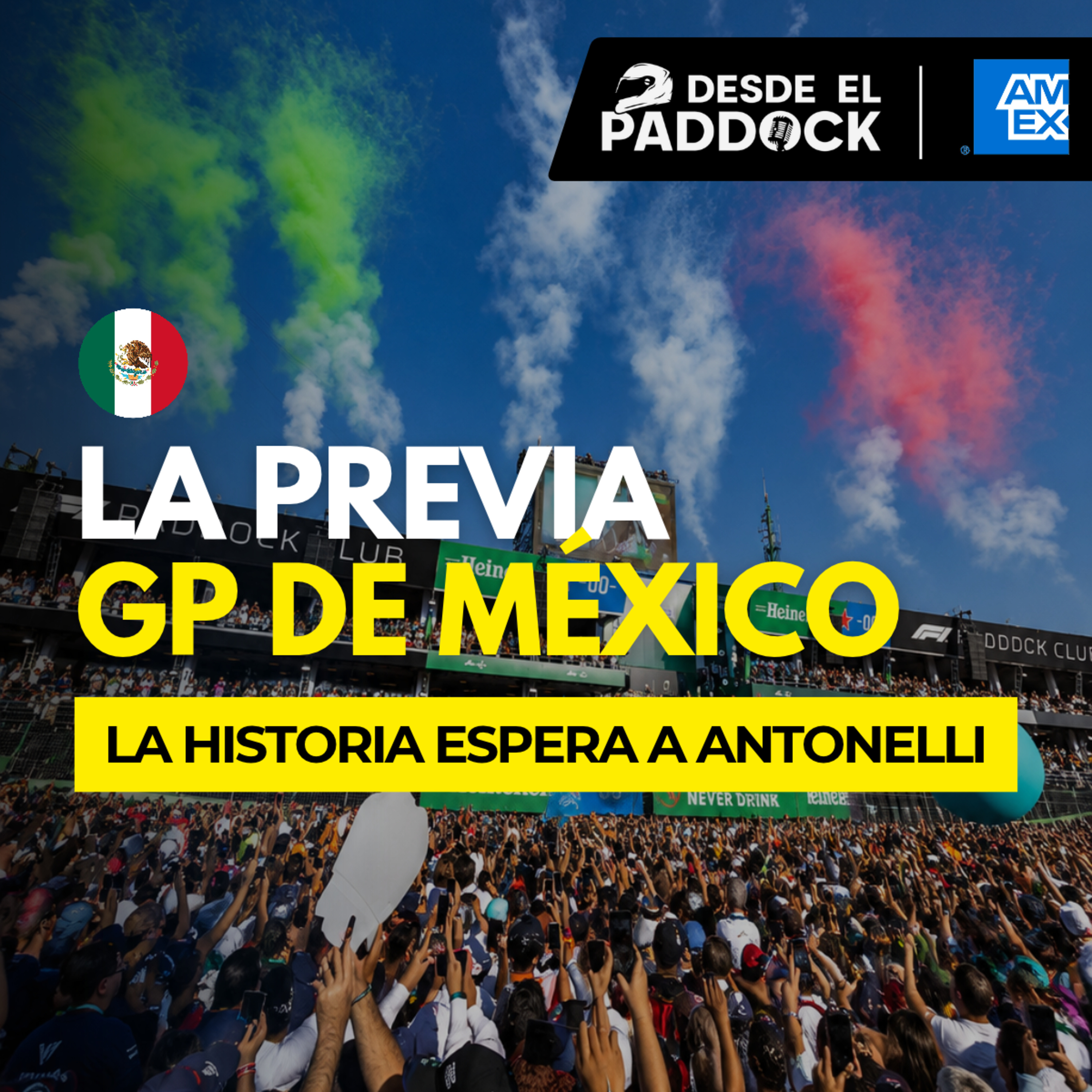 Portada de DESDE EL PADDOCK