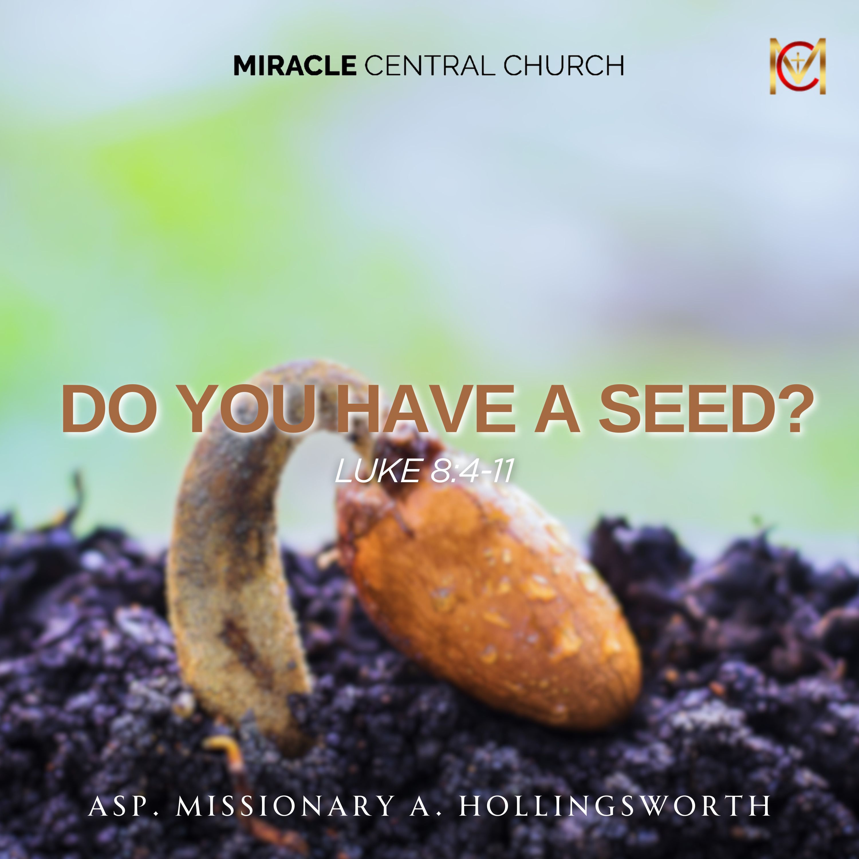 Do You Have a Seed? episode artwork