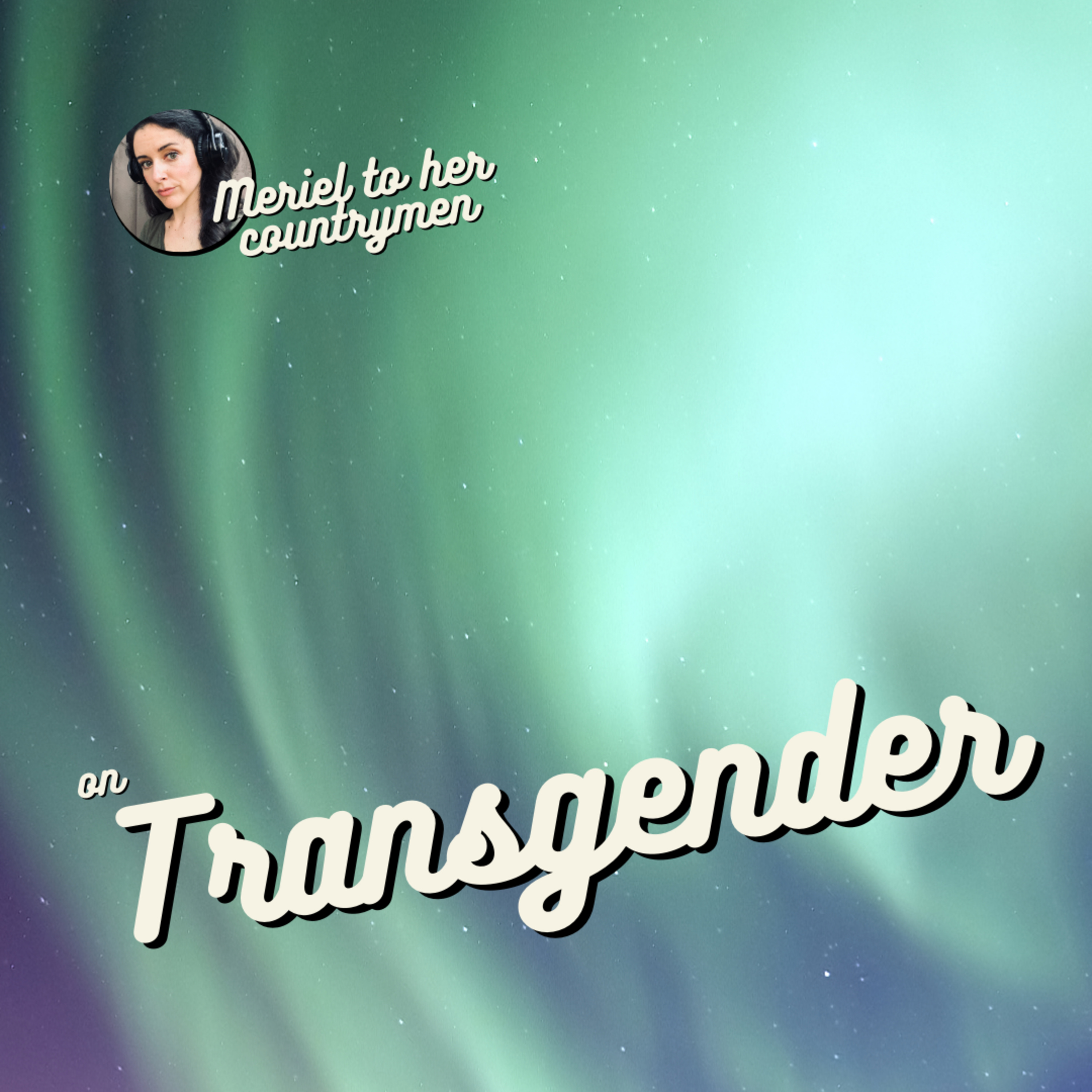 Transgender episode artwork
