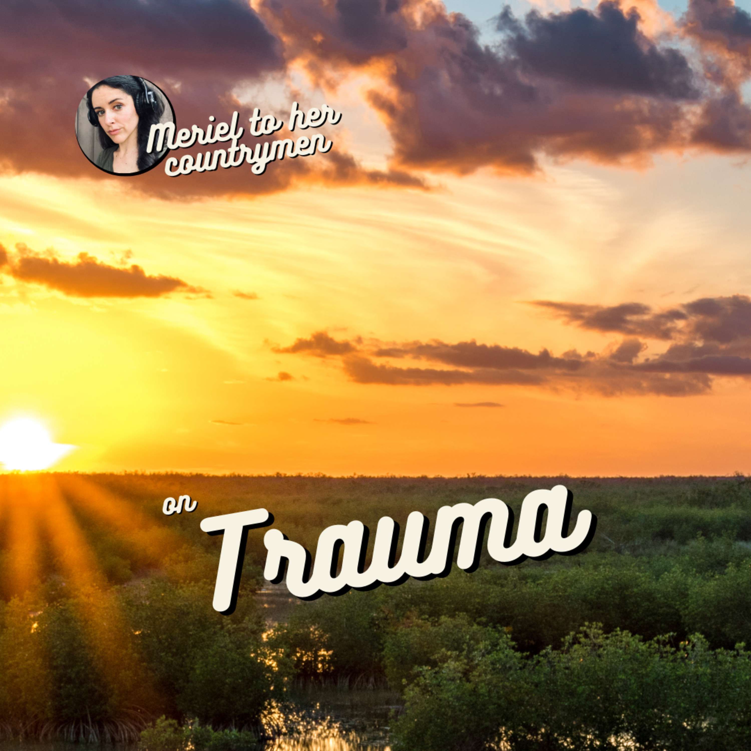 Trauma episode artwork