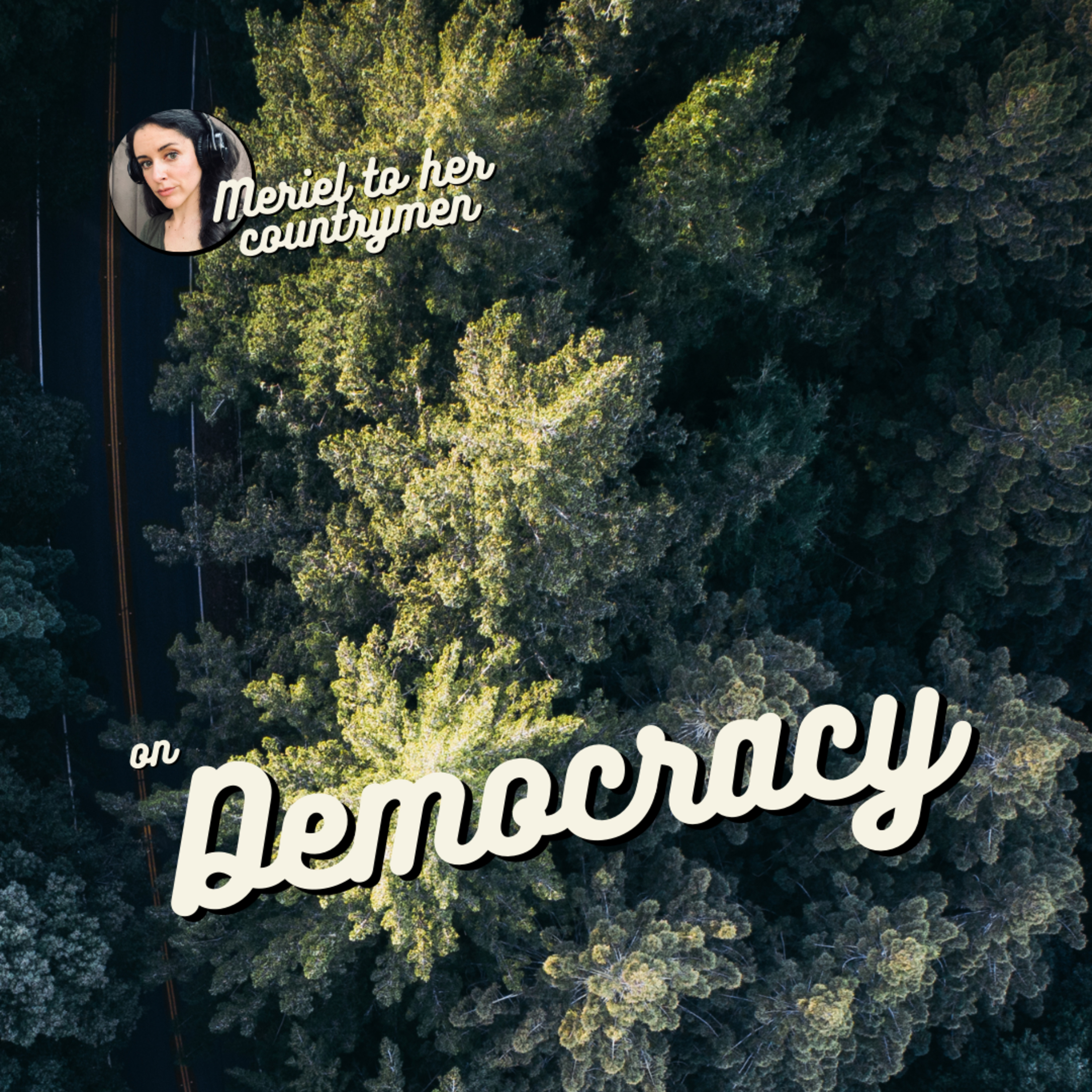 Democracy episode artwork