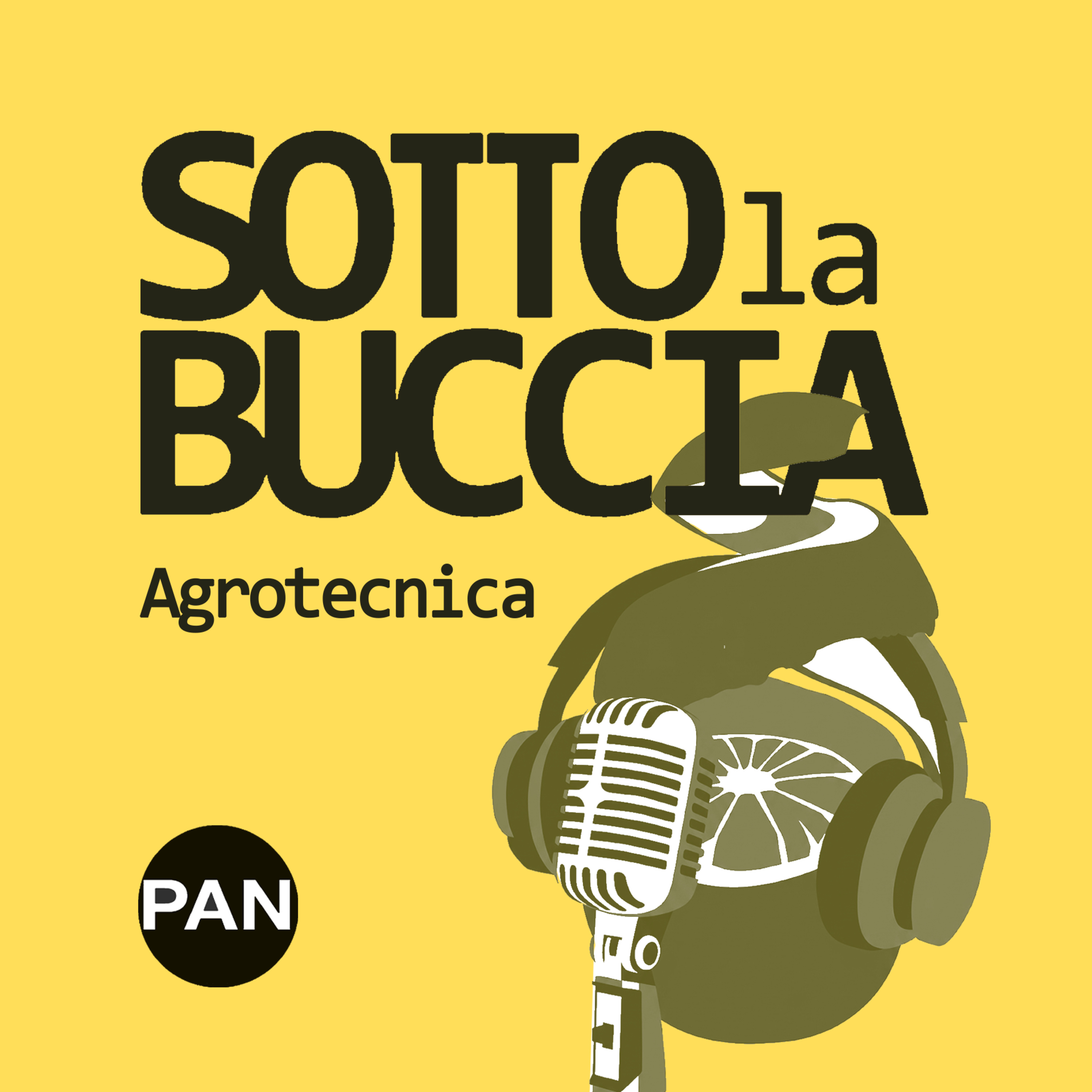 FERRO: abbondante, bloccato, indispensabile - Agrotecnica episode artwork