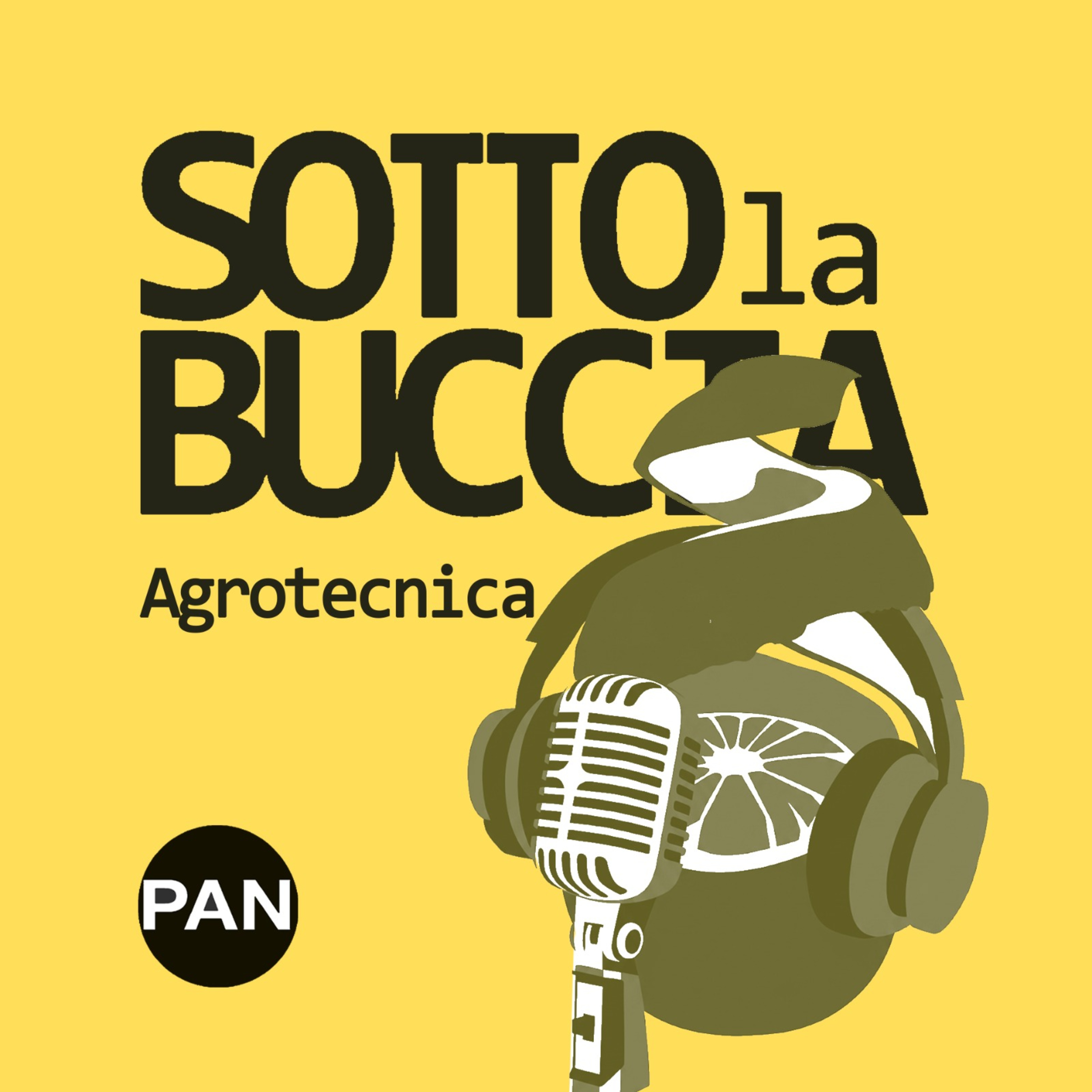 Molibdeno: pochi grammi di un microelemento che cambiano resa e qualità episode artwork