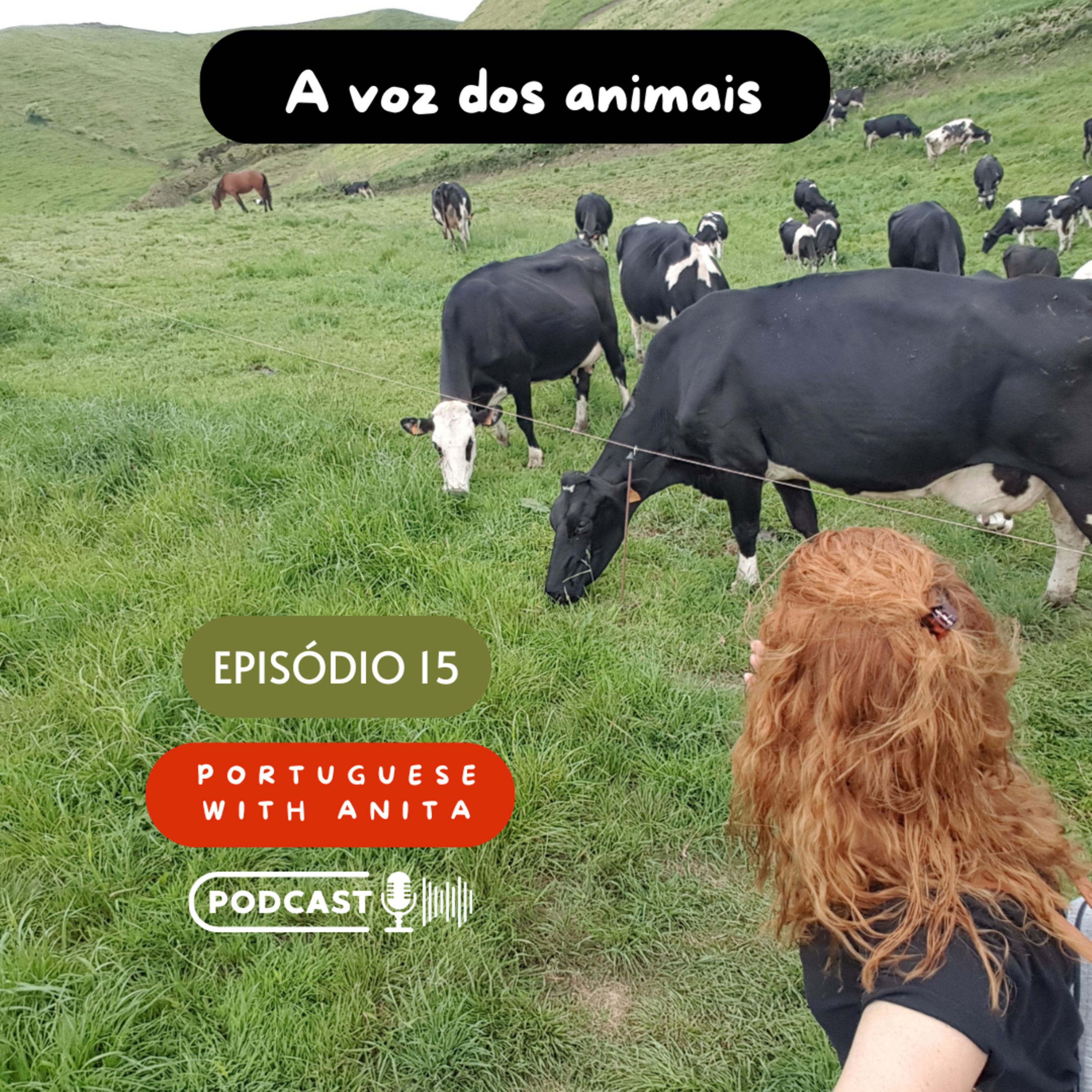 #15 - A voz dos animais episode artwork