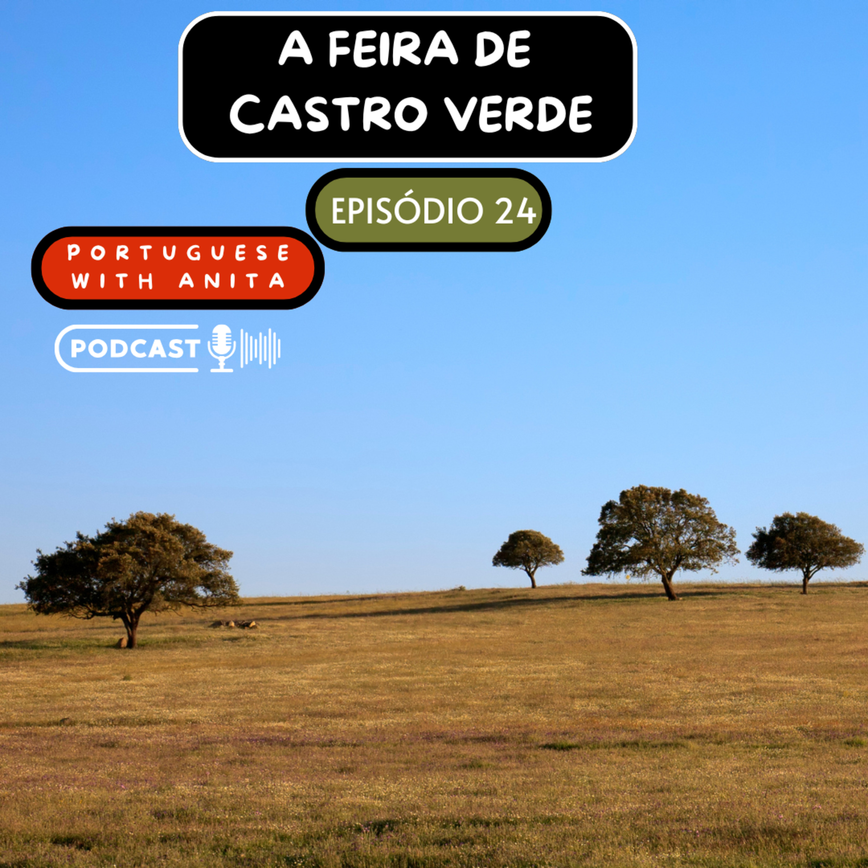 #24 - A Feira de Castro Verde  episode artwork