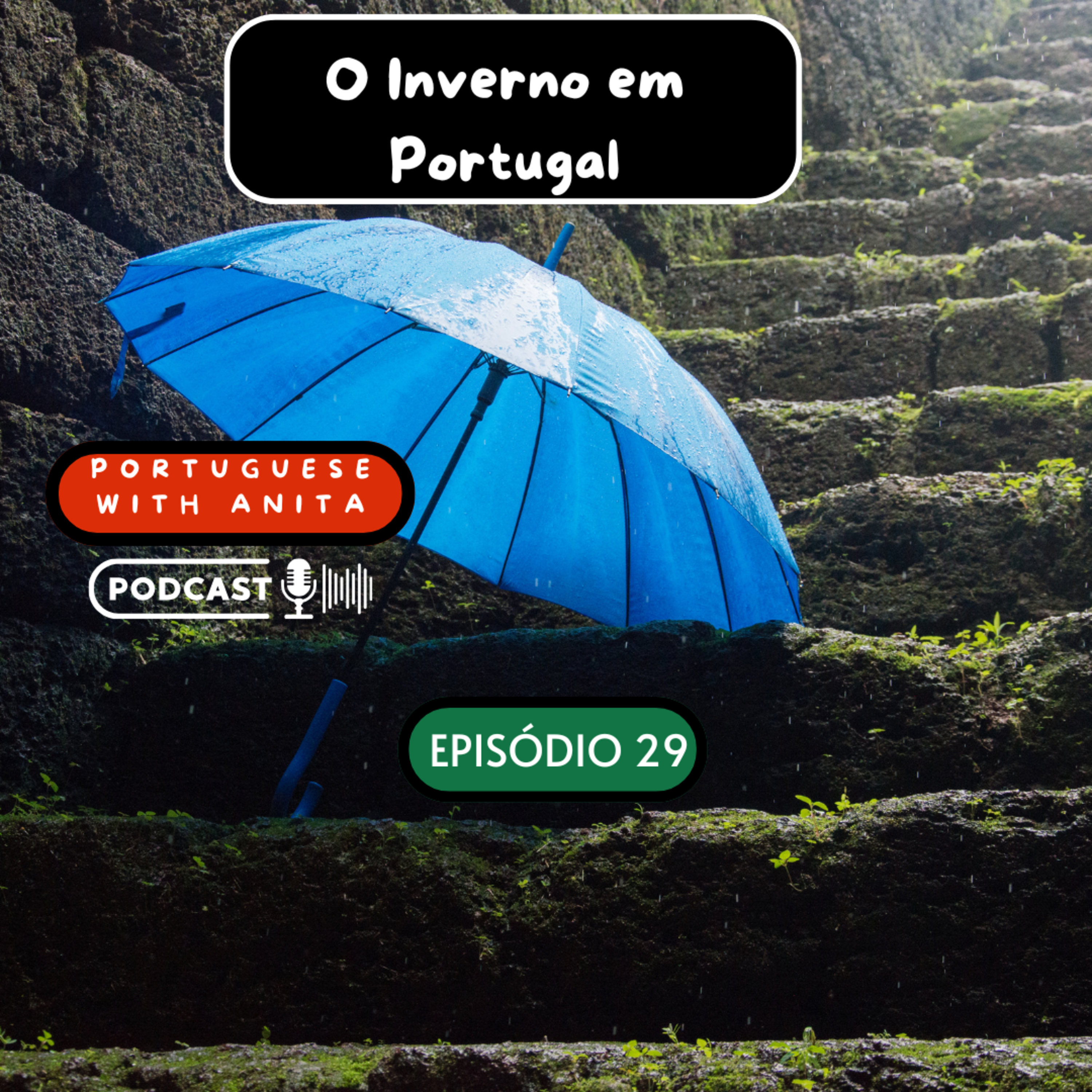 #29- O Inverno em Portugal episode artwork