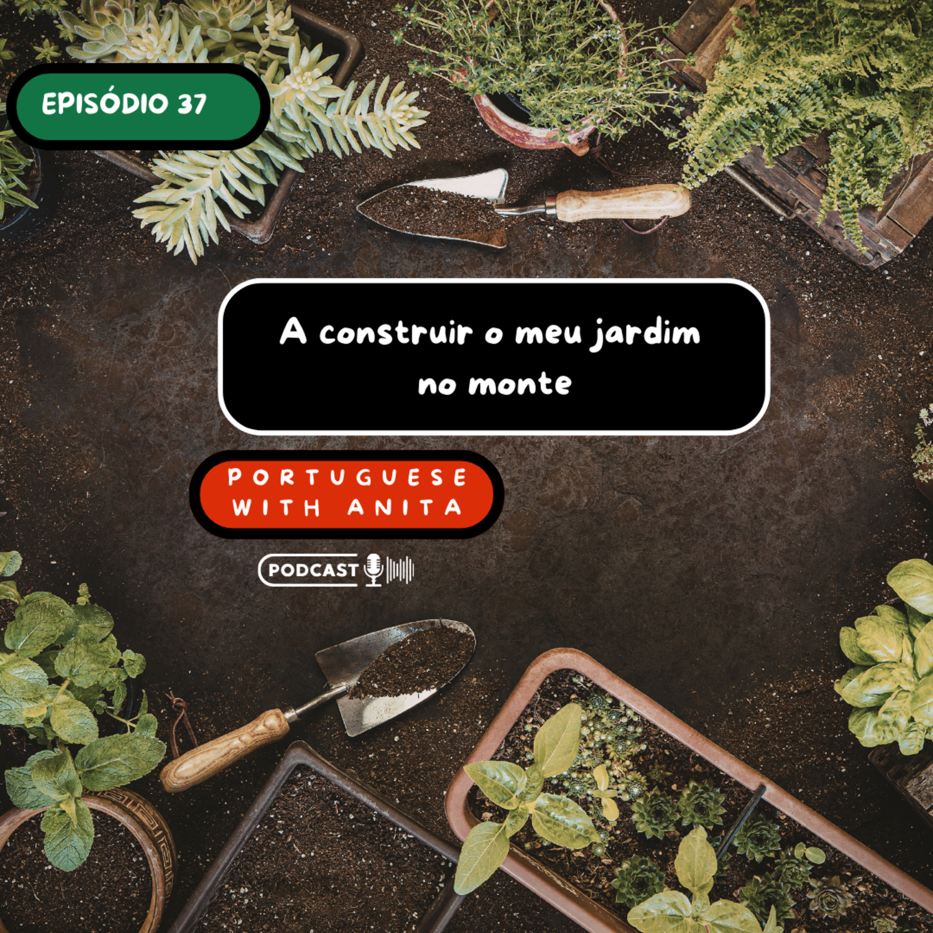#37: A construir o meu jardim no monte episode artwork