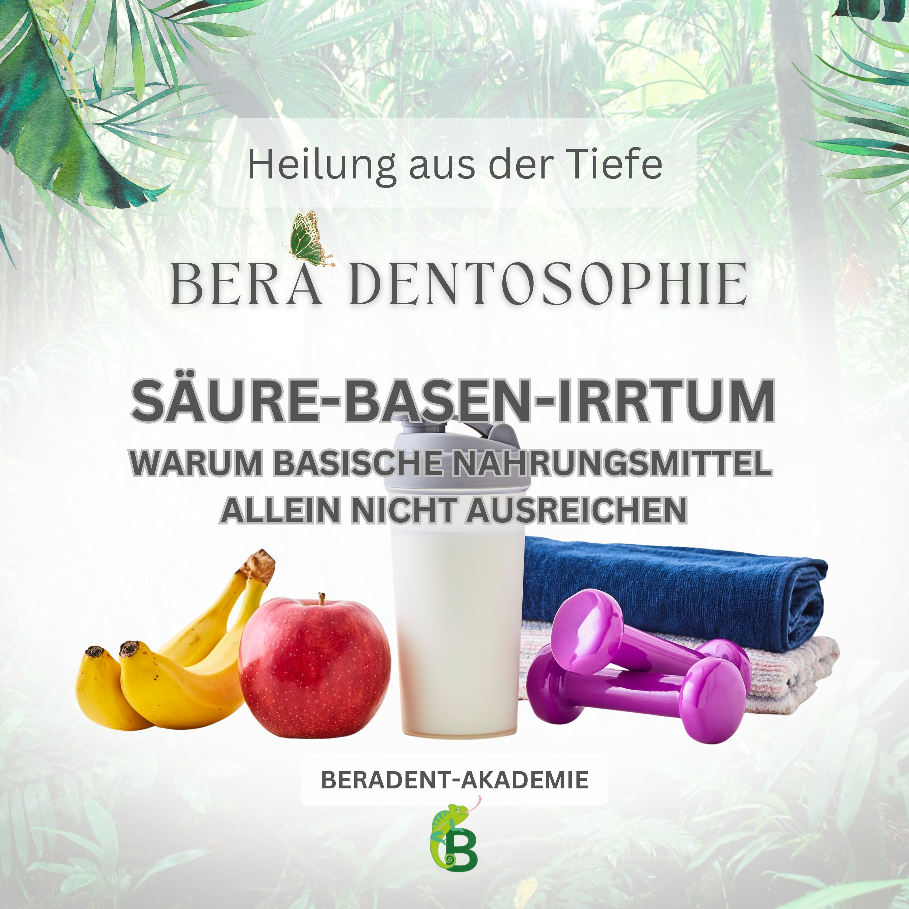 Säuren-Basen-Irrtum