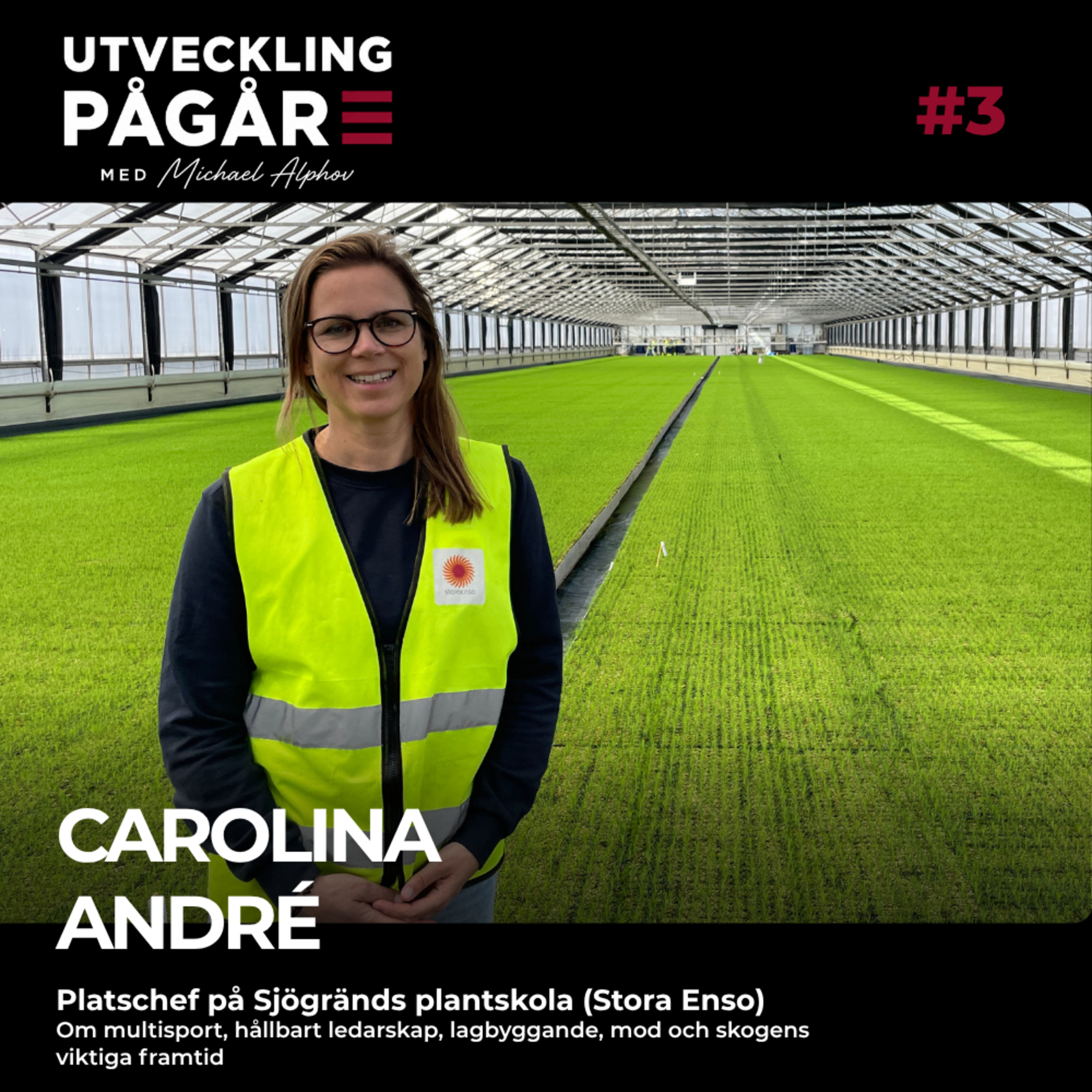 #3 Carolina André: Från multisport till hållbart ledarskap, lagbyggande, mod och skogens viktiga framtid episode artwork