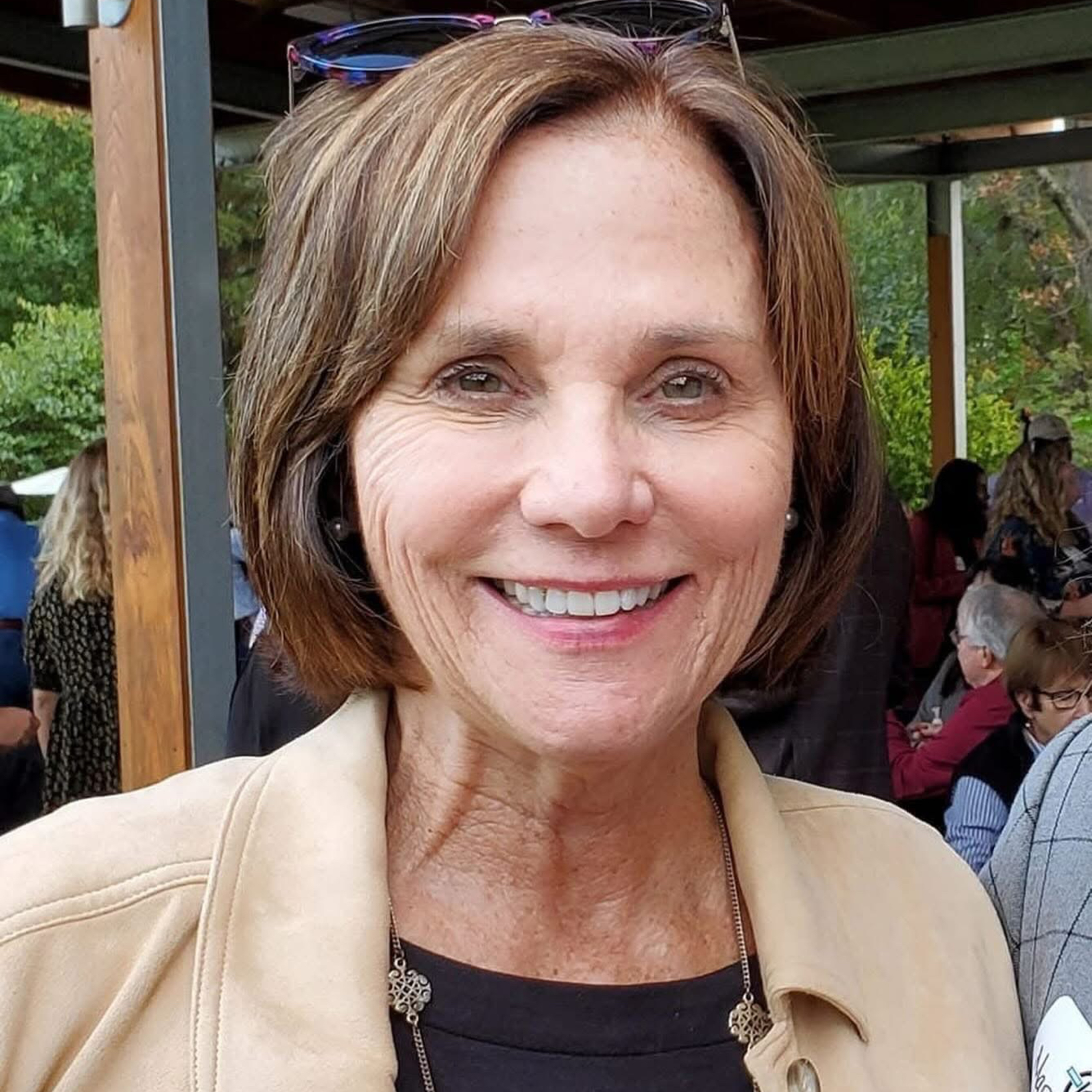 Elisha\'s Bears: Exploring Faith, Baptists, and the Bible