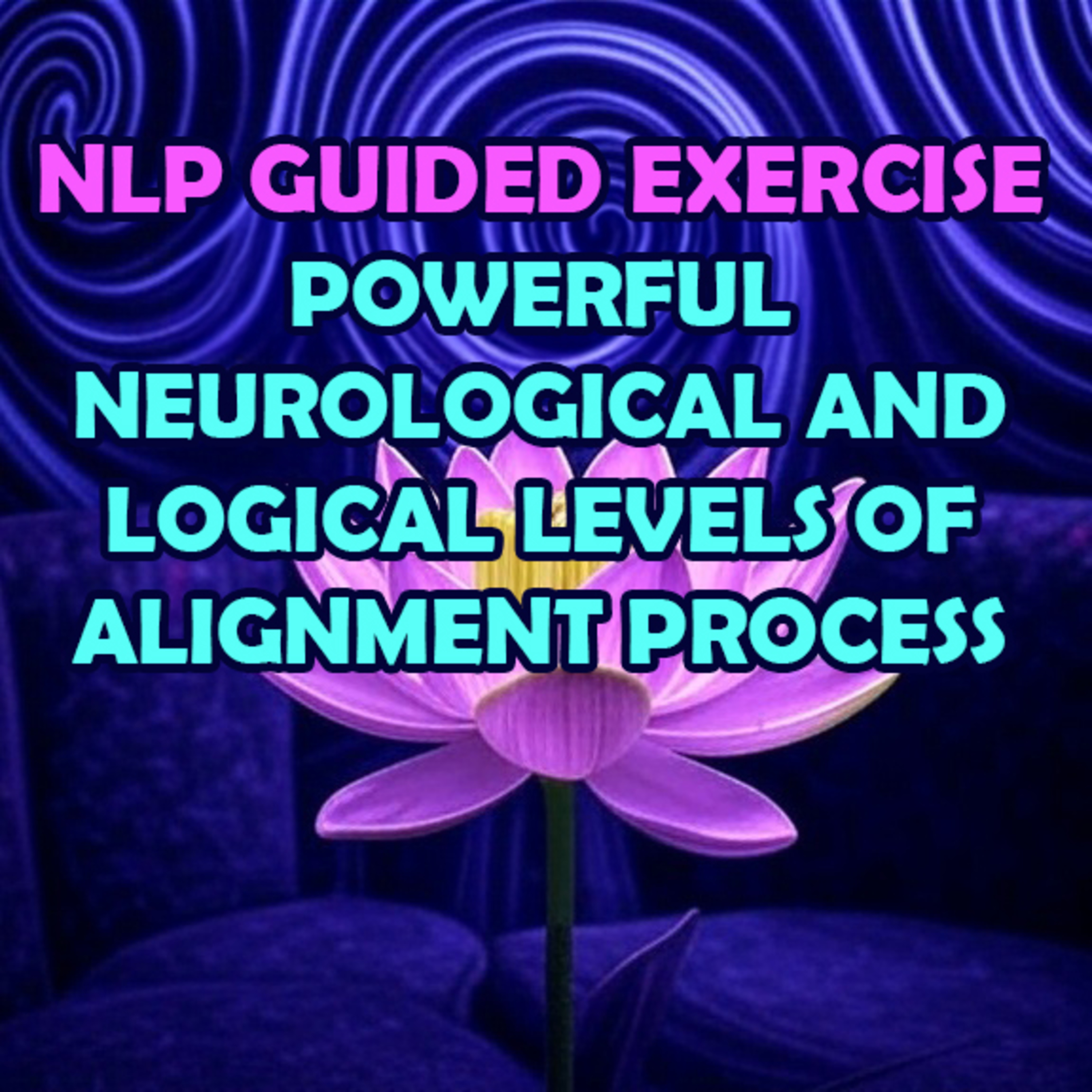 NLP Guided Exercise - POWERFUL Neurological and Logical Levels of Alignment Process