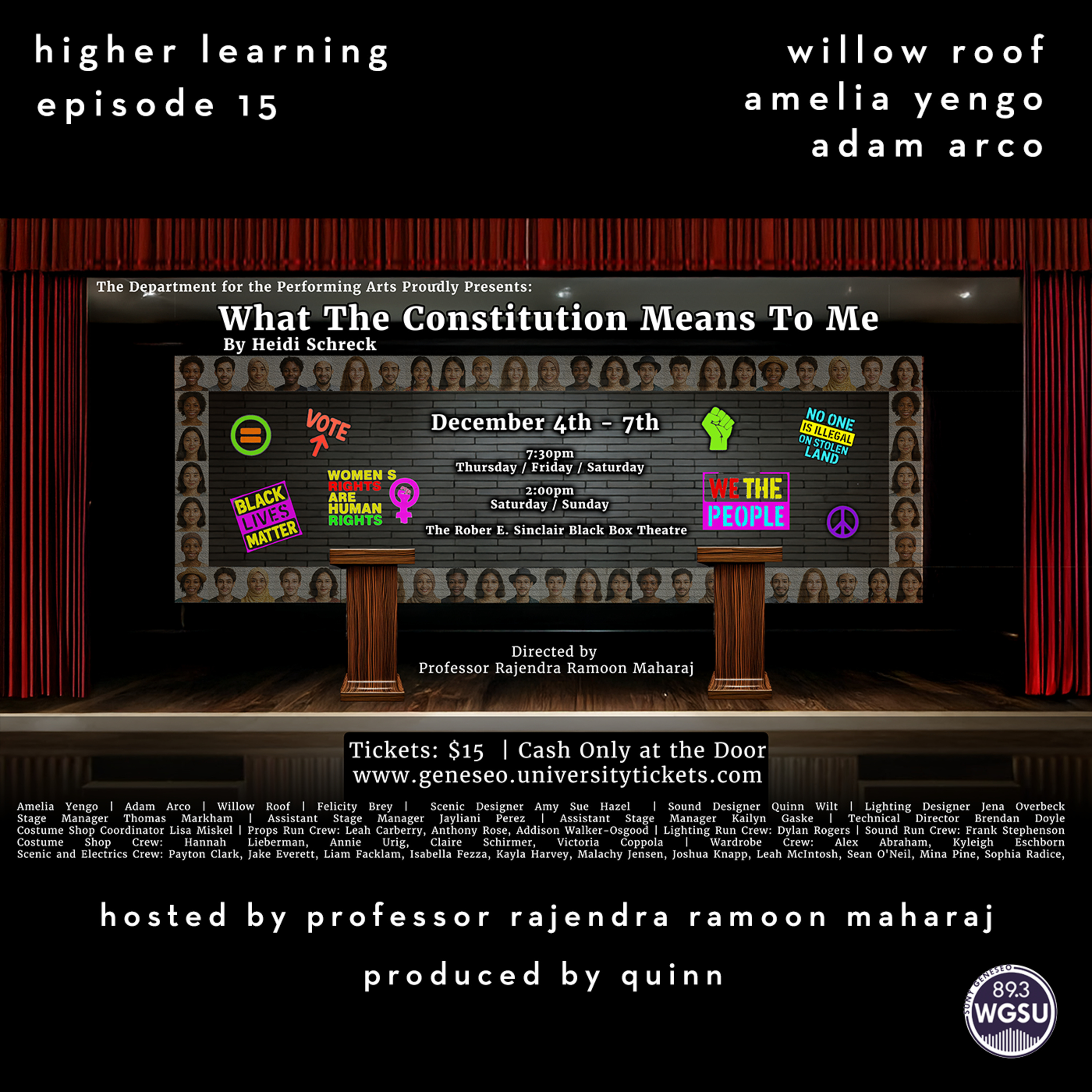 episode 15 – what the constitution means to me