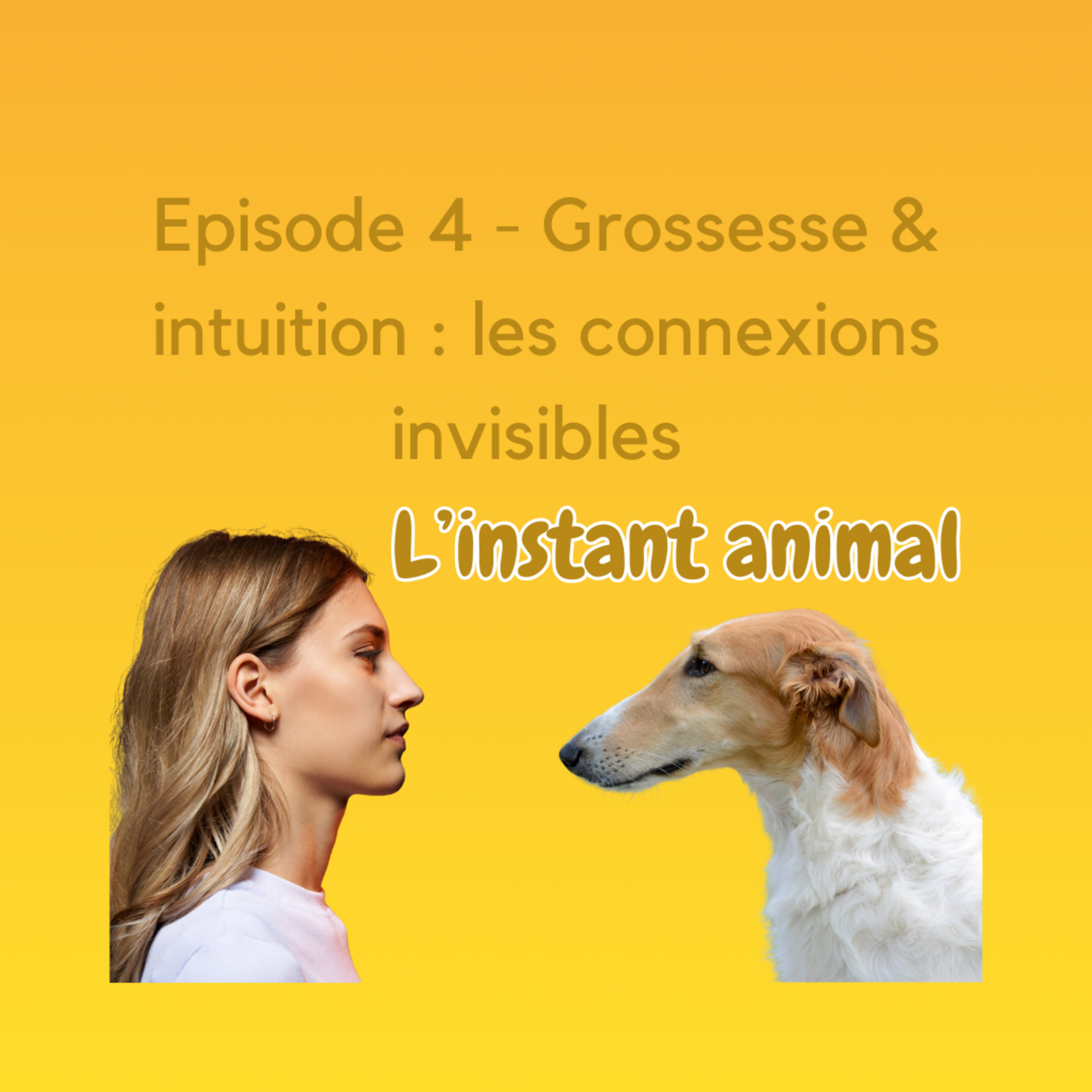 L\'instant animal