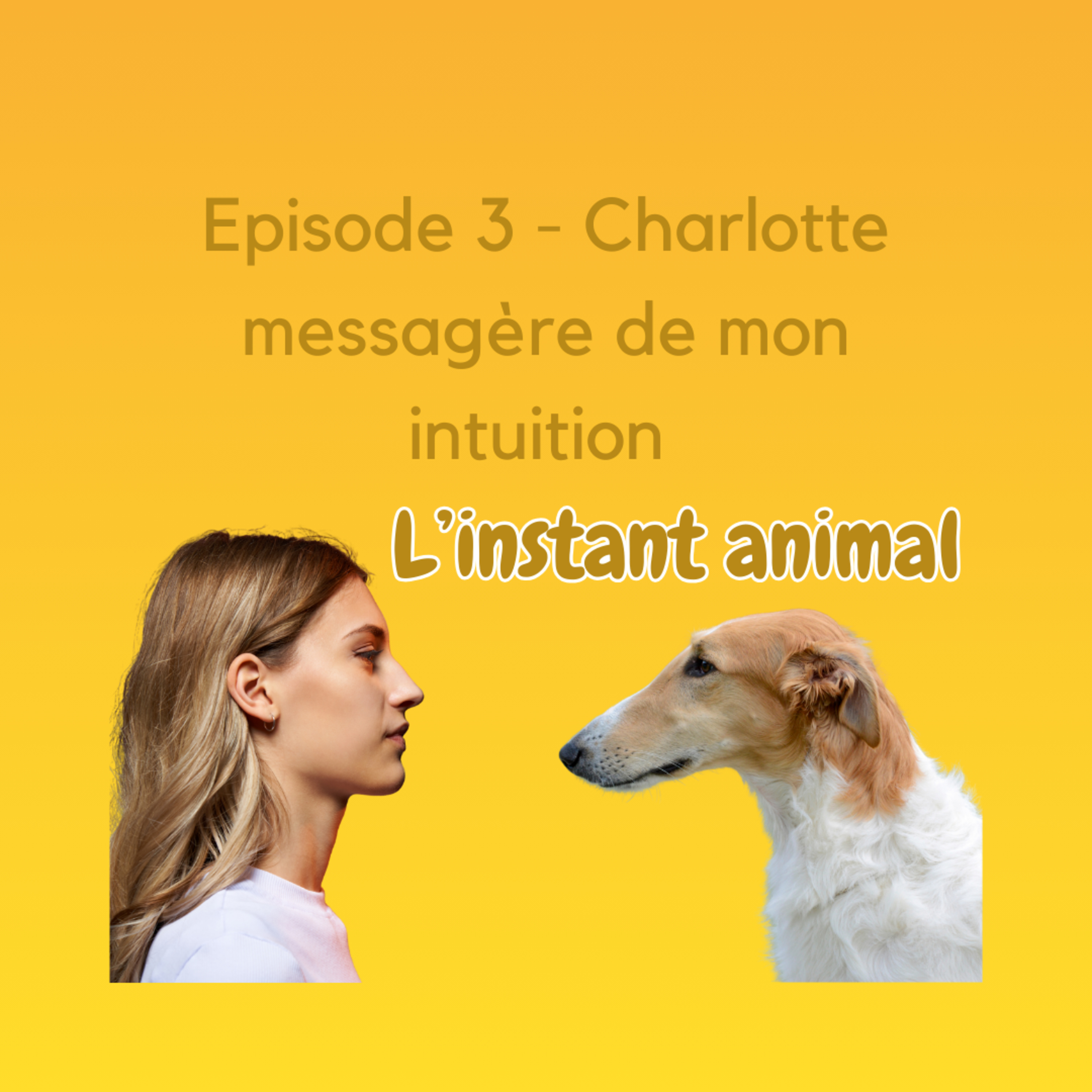 L\'instant animal