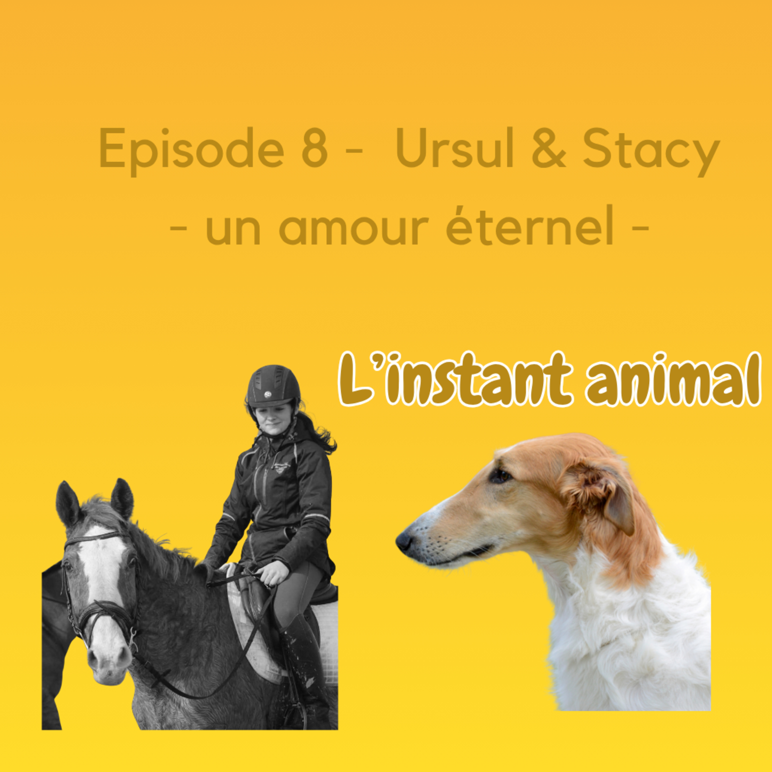 L\'instant animal