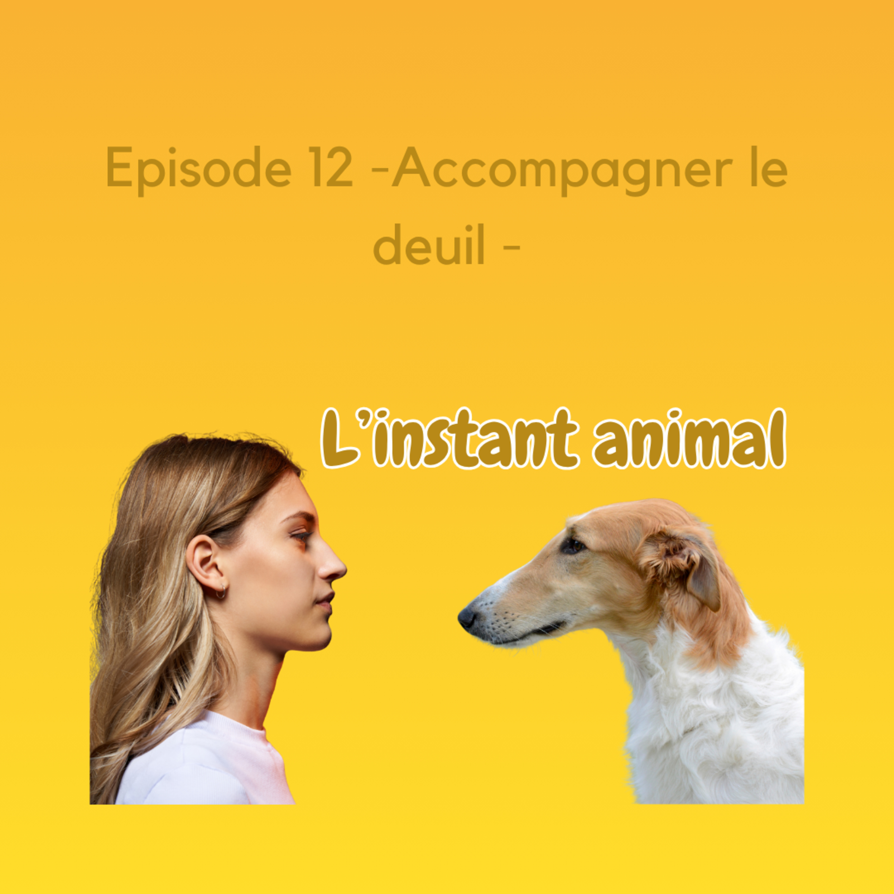 L\'instant animal