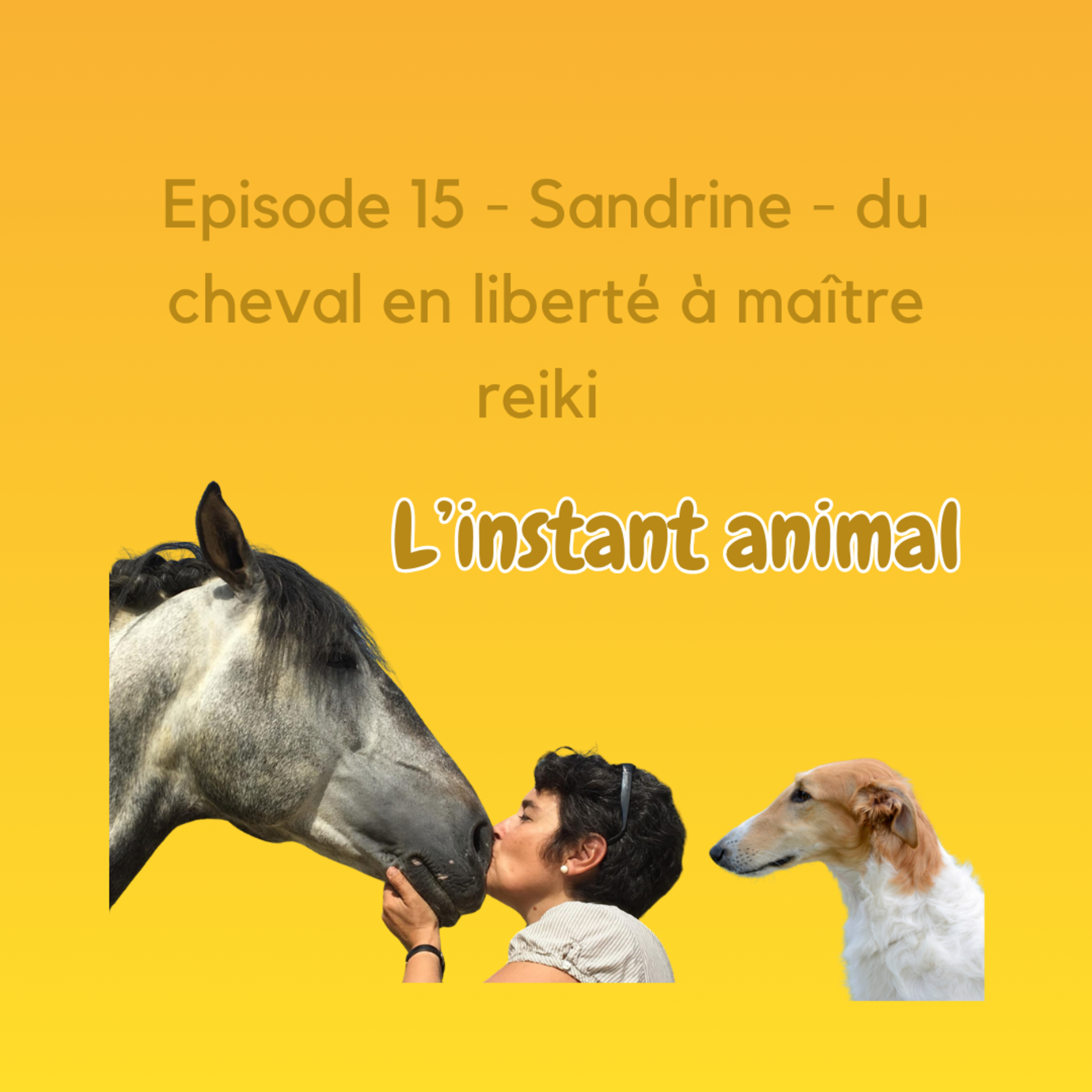 L\'instant animal