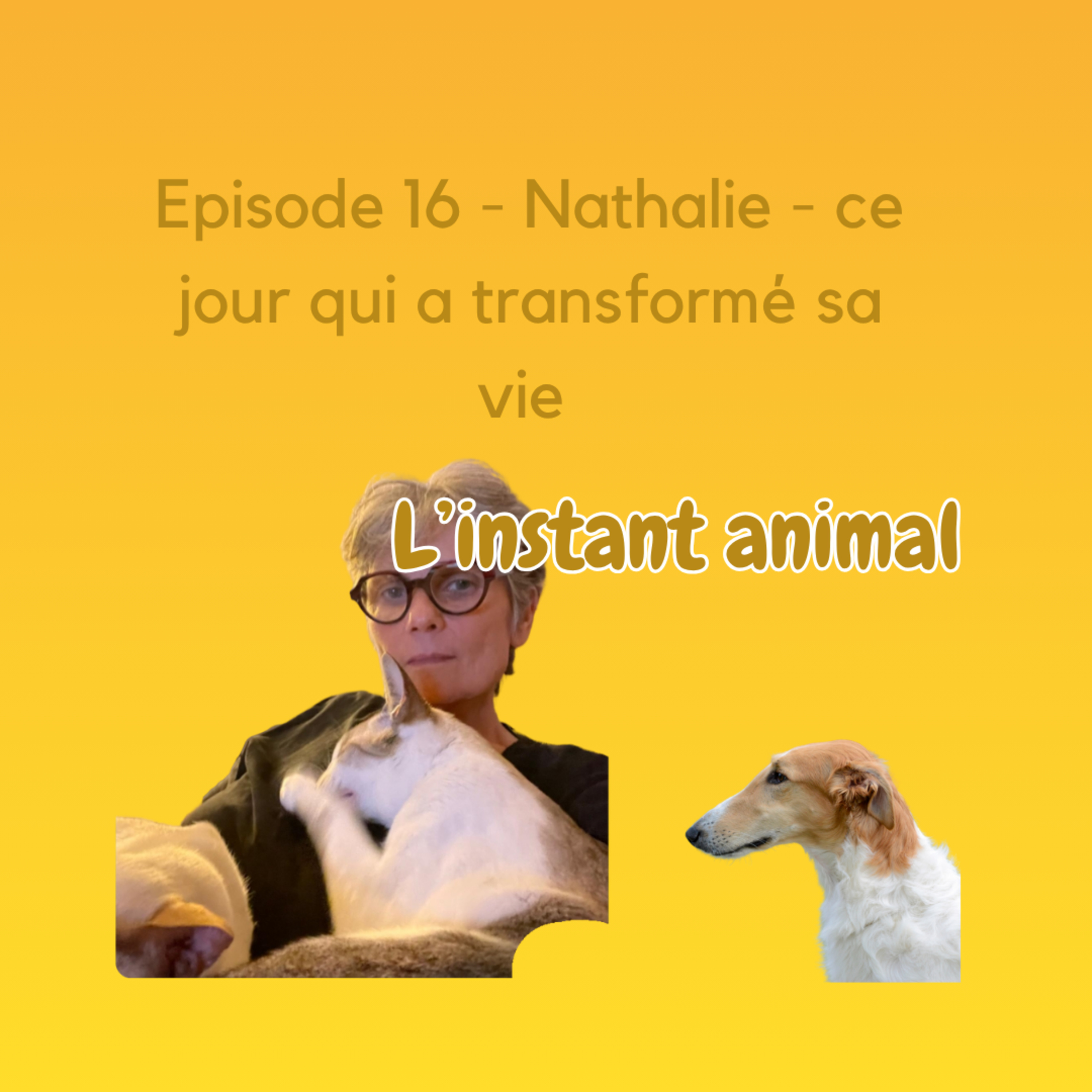 L\'instant animal