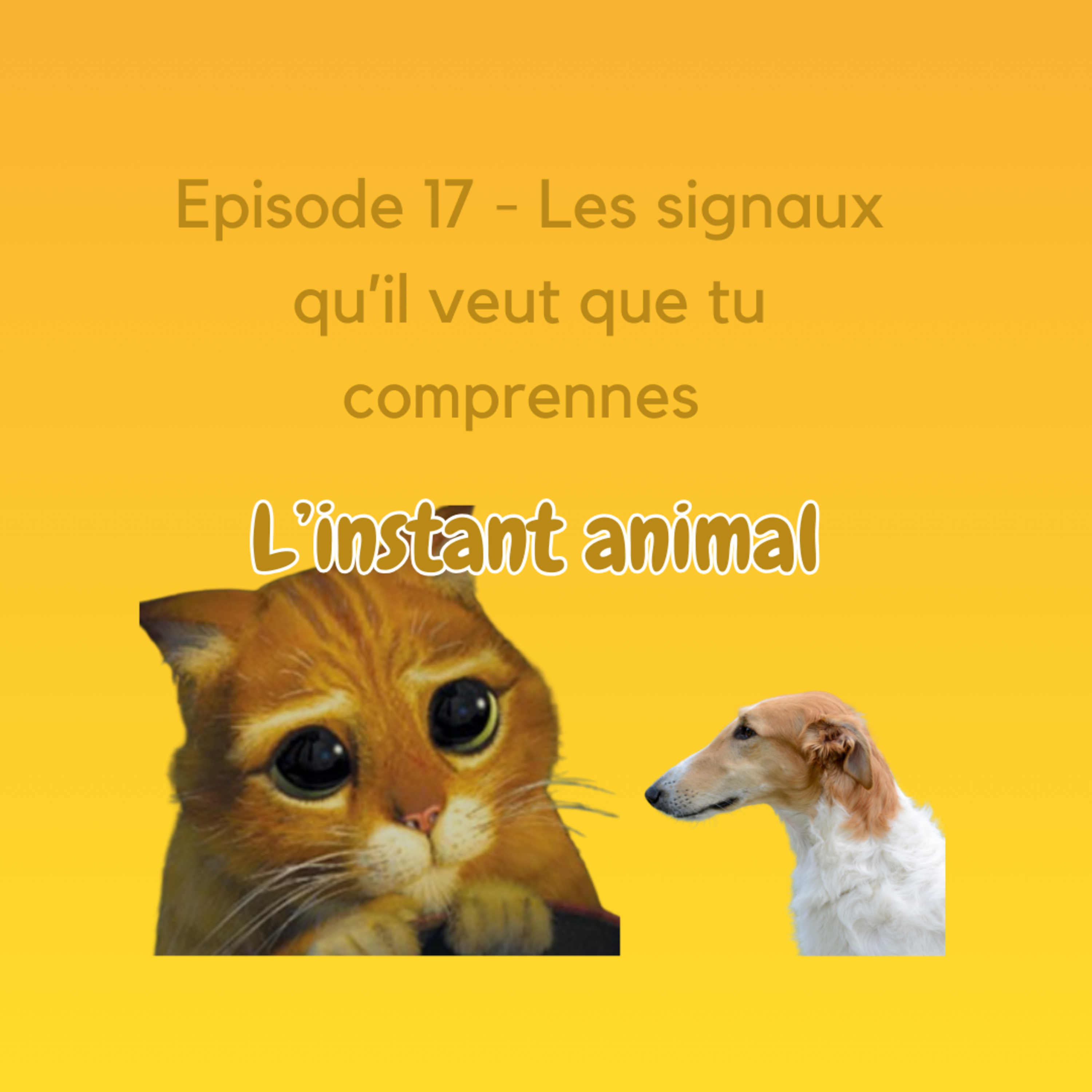 L\'instant animal