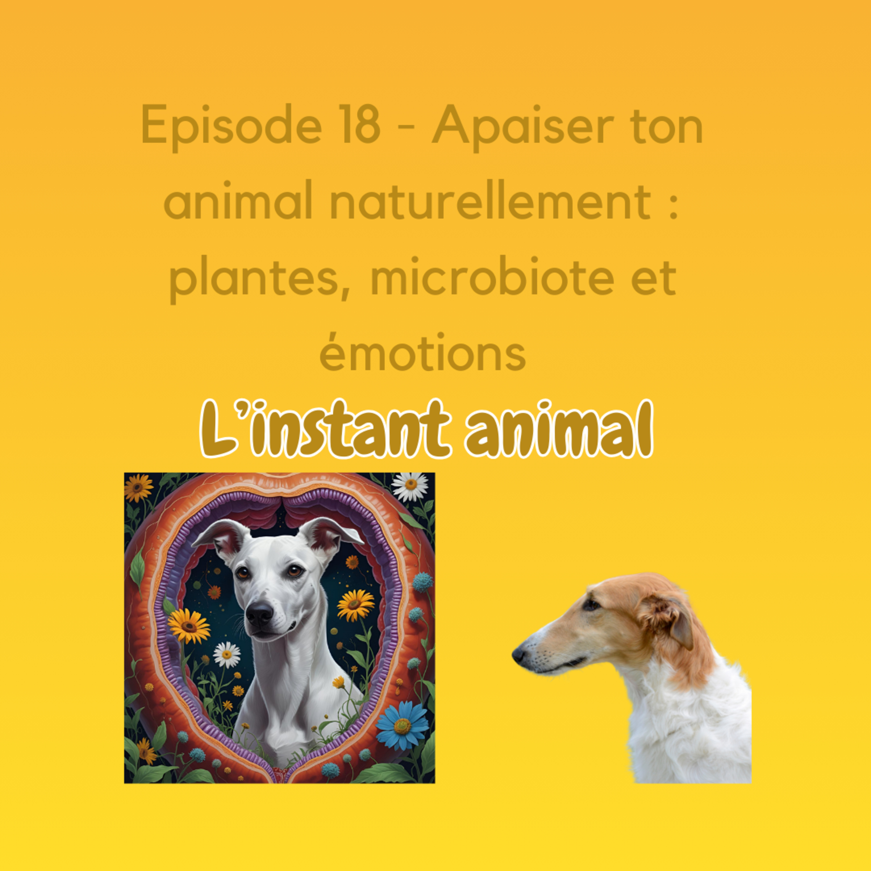 L\'instant animal
