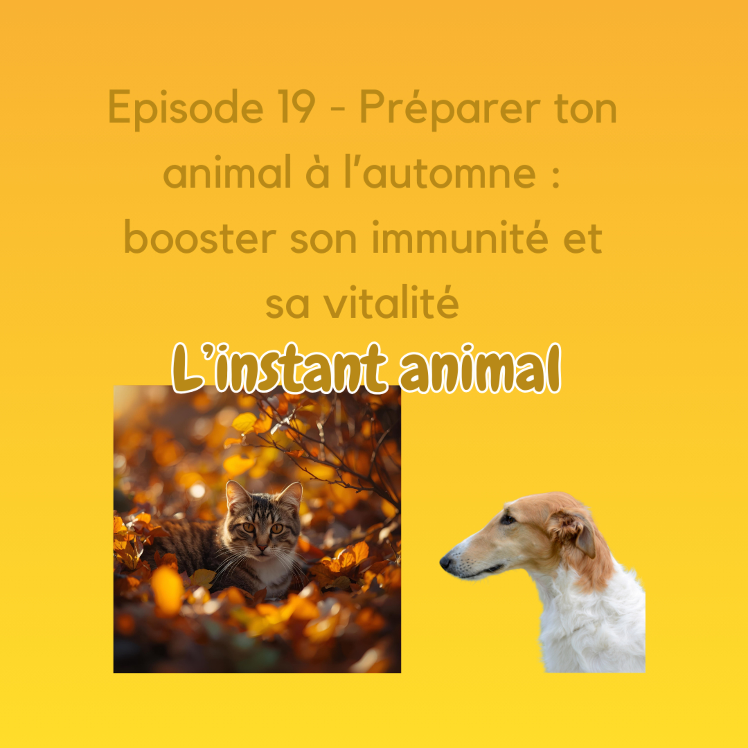 L\'instant animal