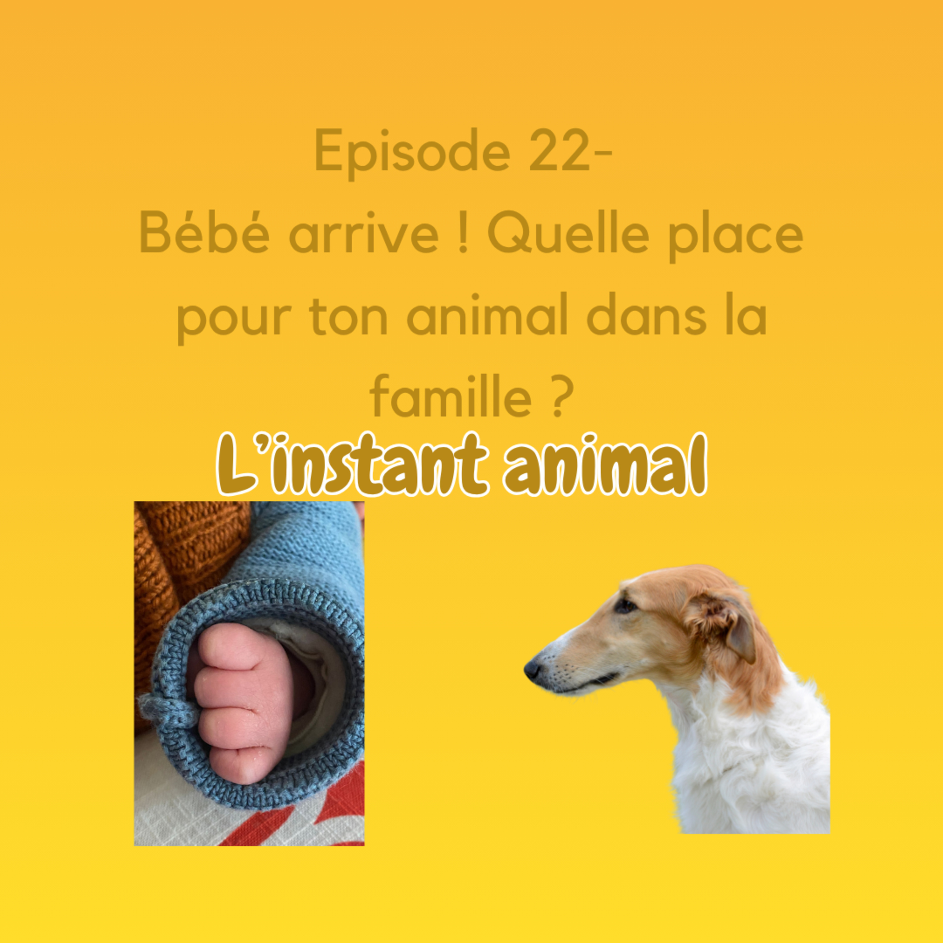L\'instant animal