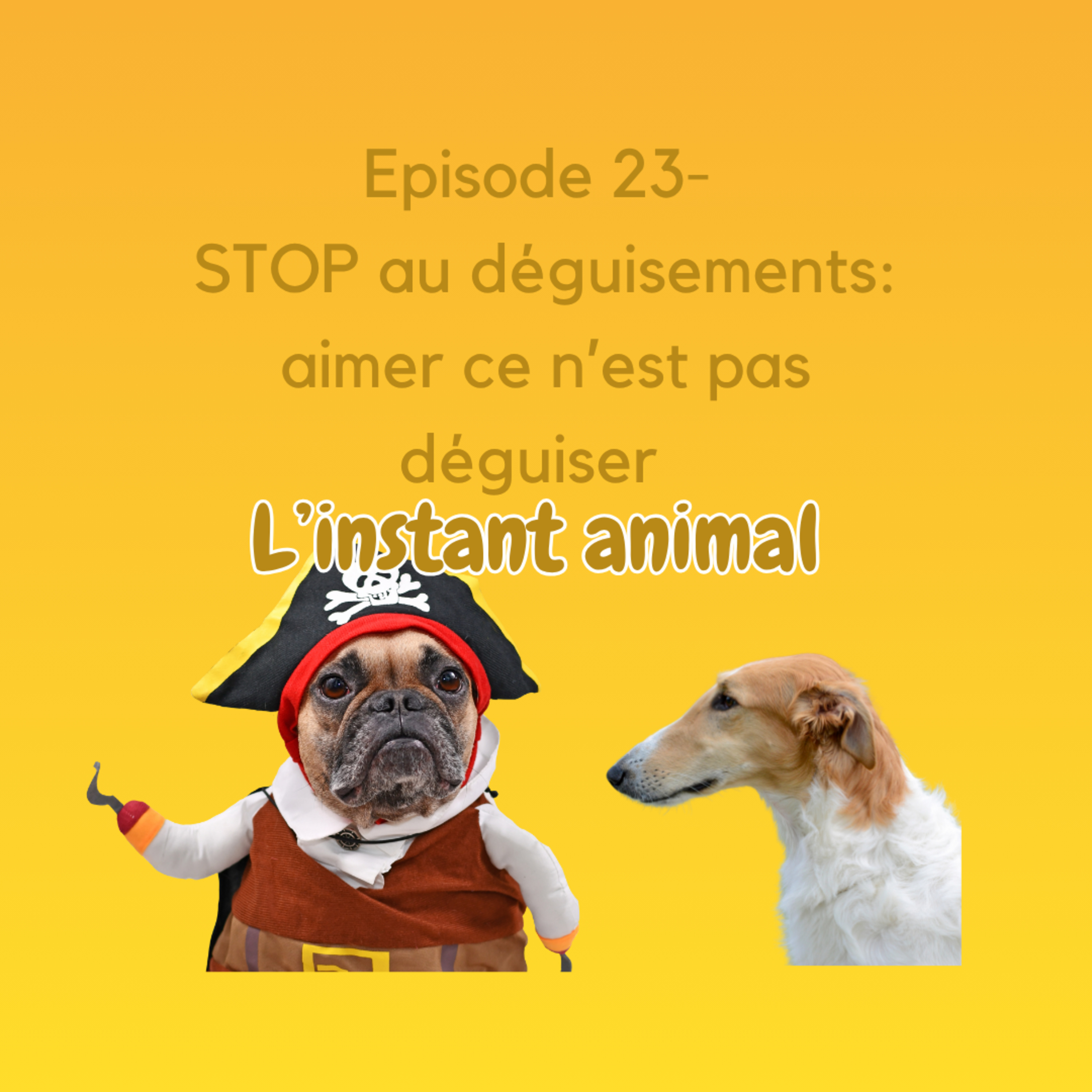 L\'instant animal