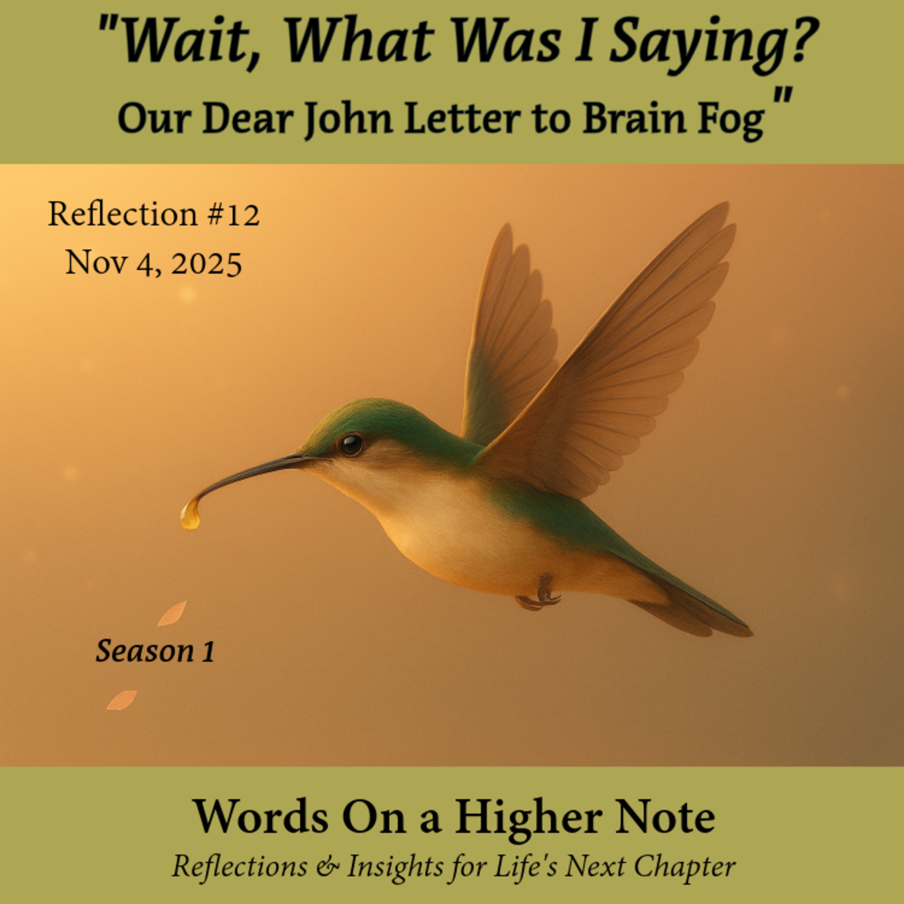 Wait, What Was I Saying? Our Dear John Letter to Brain Fog episode artwork