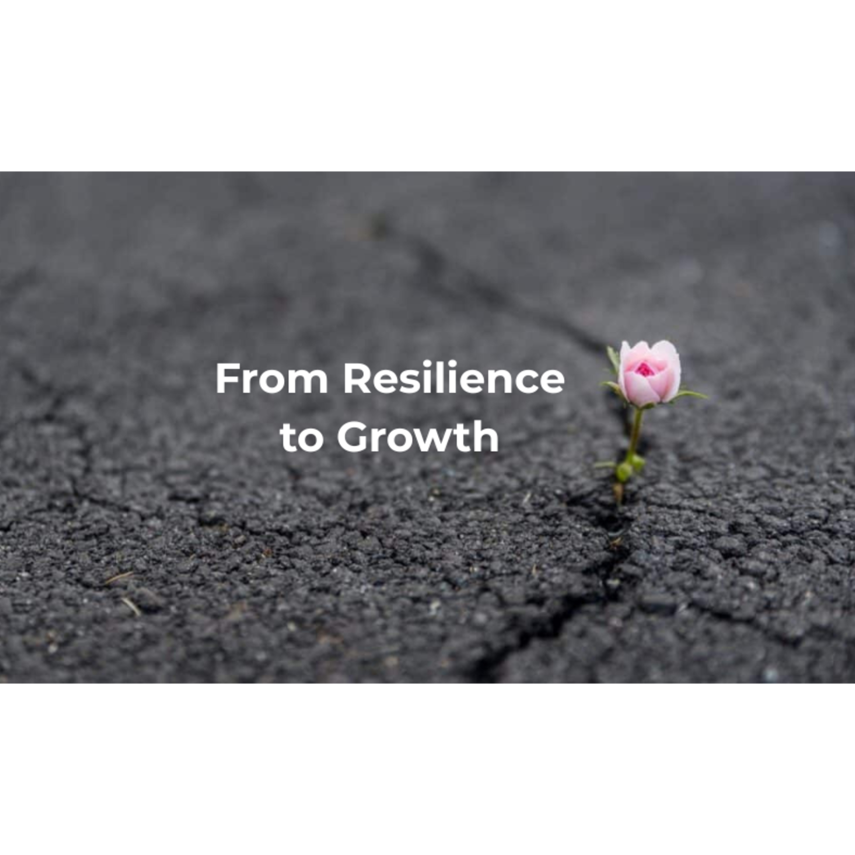 Leadership and Growth Fireside