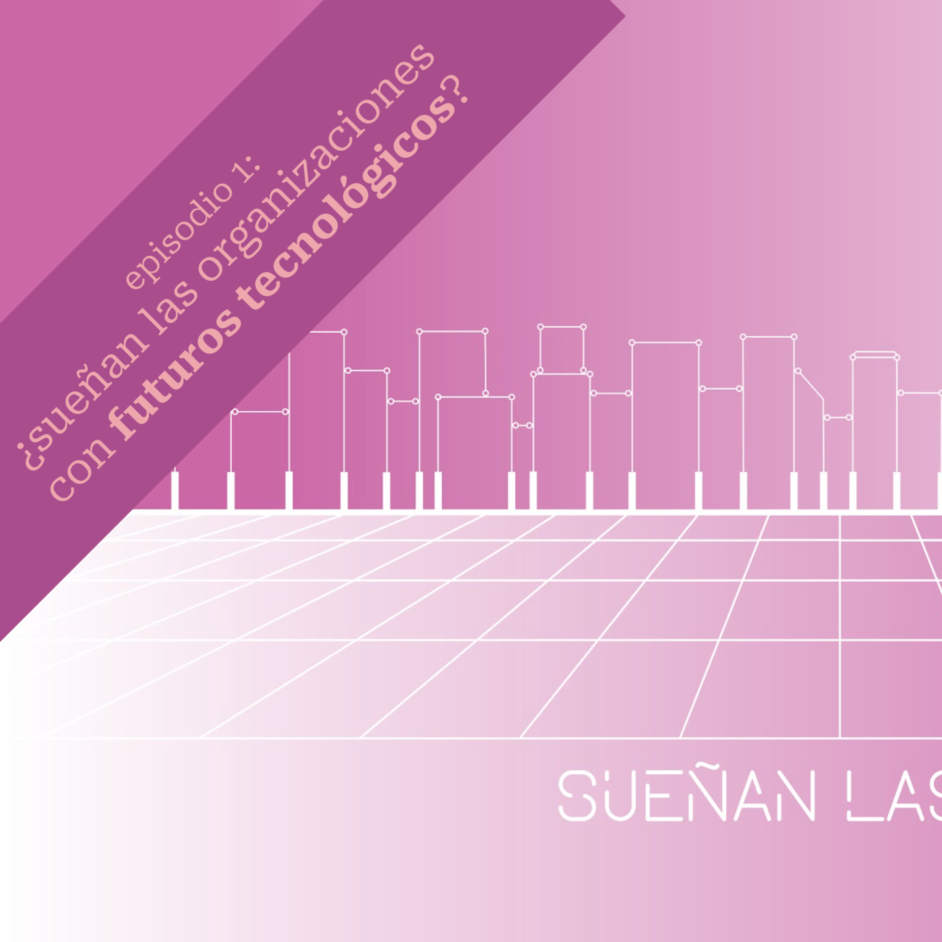 SUEÑAN LAS ORGANIZACIONES