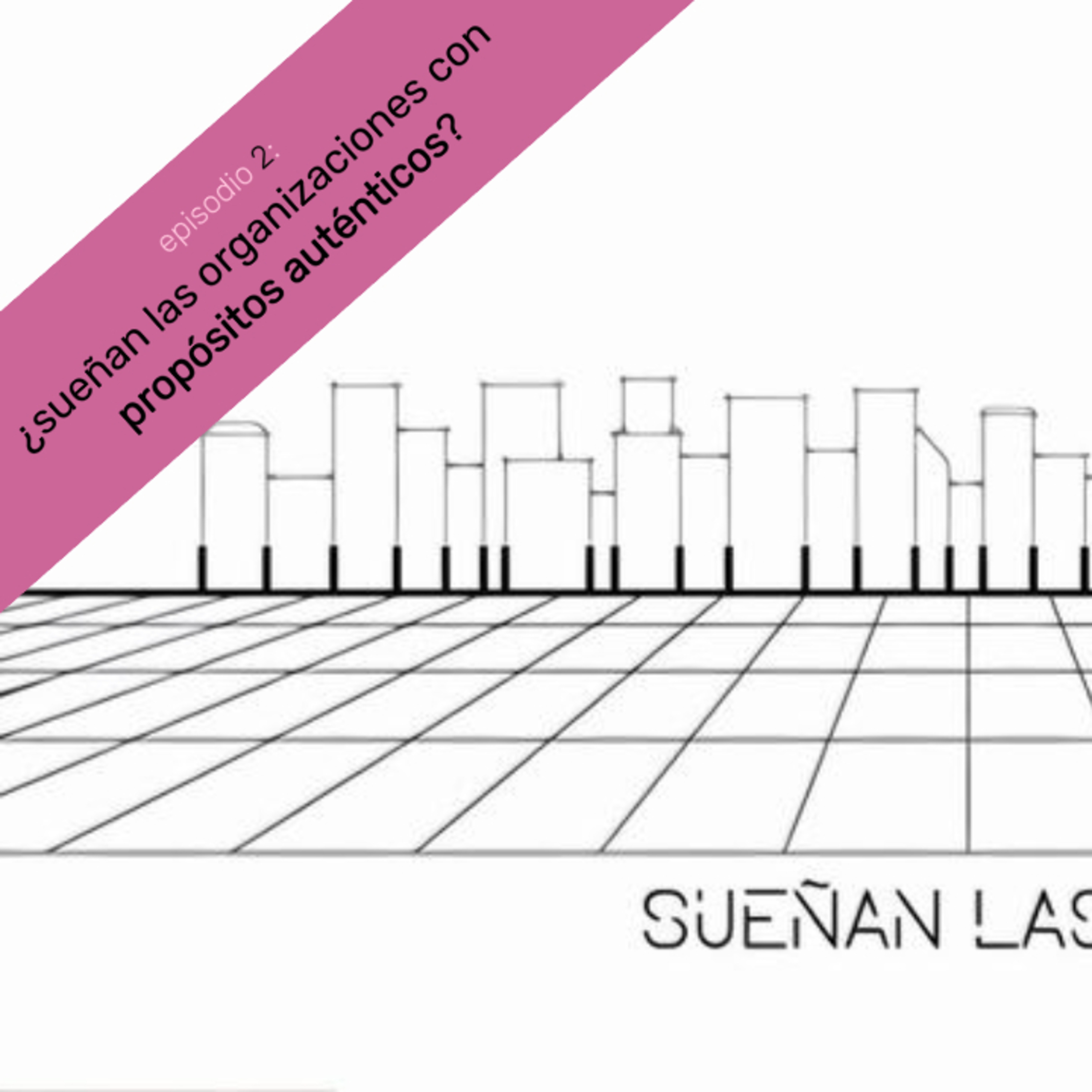 SUEÑAN LAS ORGANIZACIONES