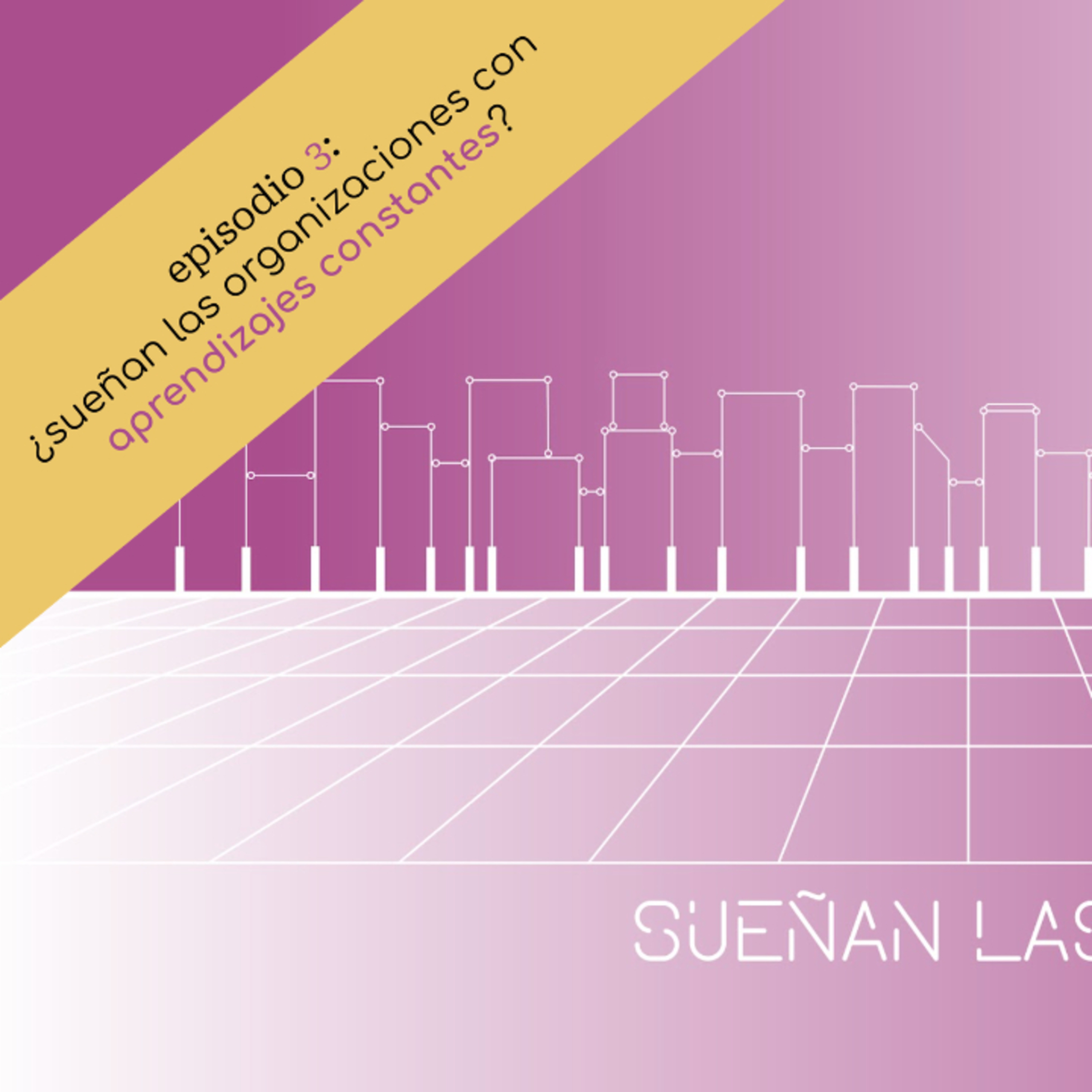SUEÑAN LAS ORGANIZACIONES