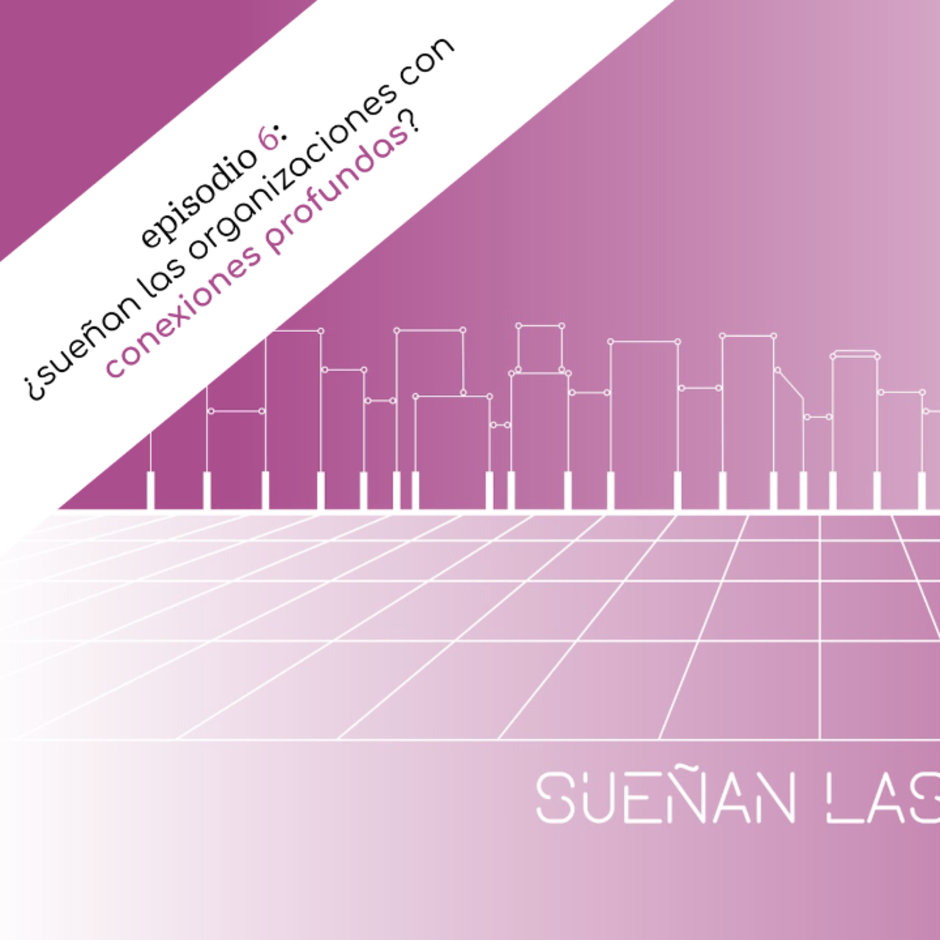 SUEÑAN LAS ORGANIZACIONES