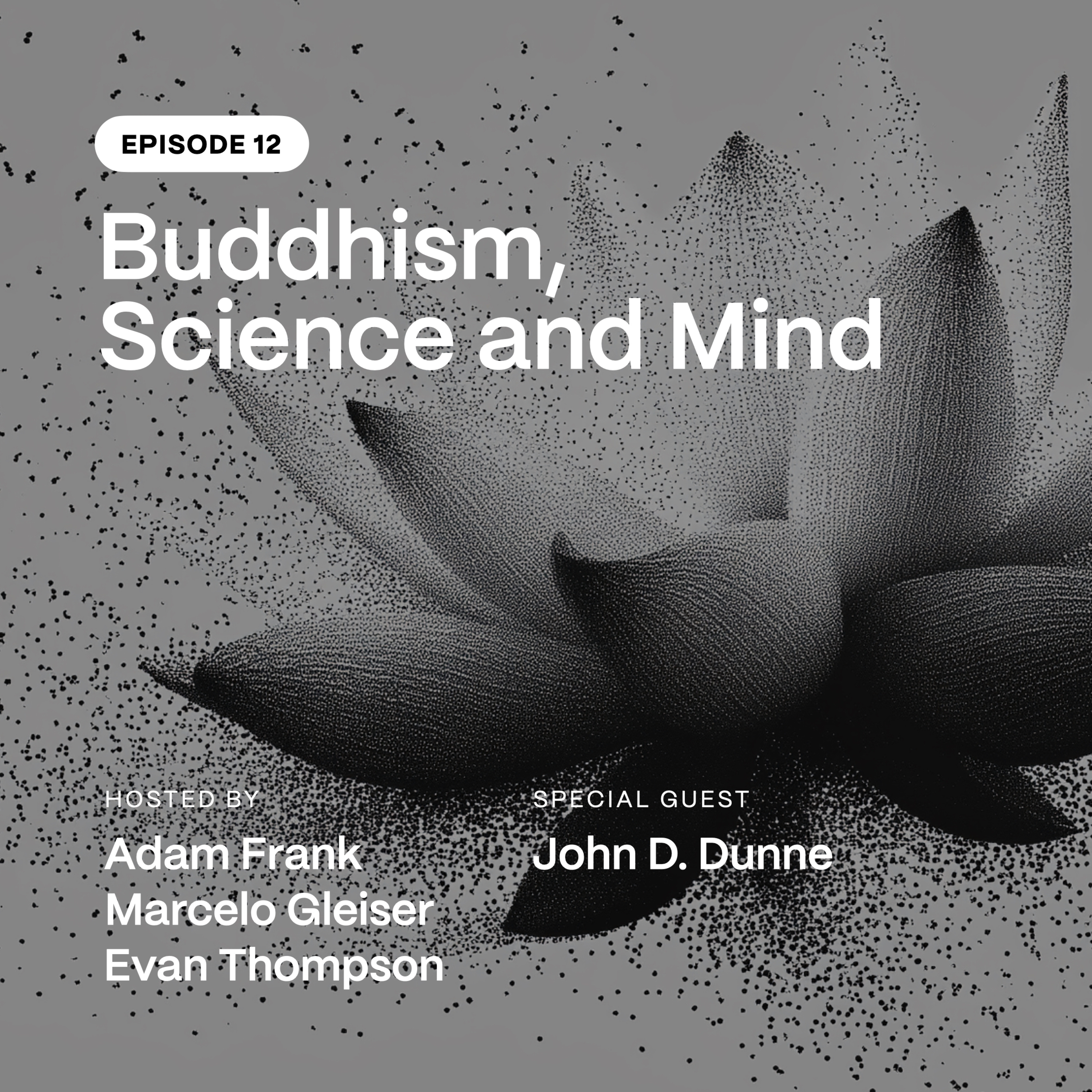 The Blind Spot Podcast