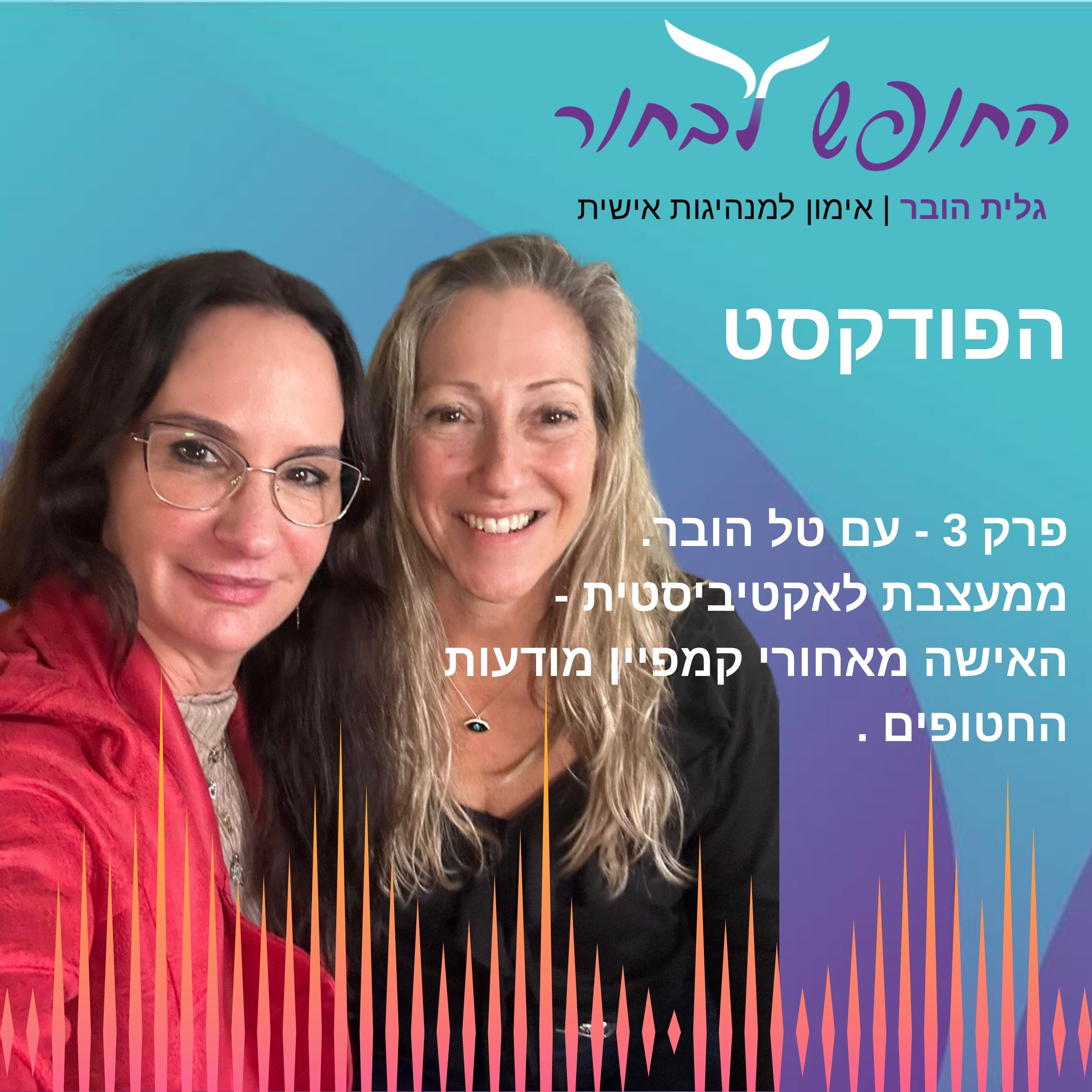 פרק 3 עם טל הובר - ממעצבת לאקטיביסטית - הסיפור מאחורי קמפיין מודעות החטופים episode artwork