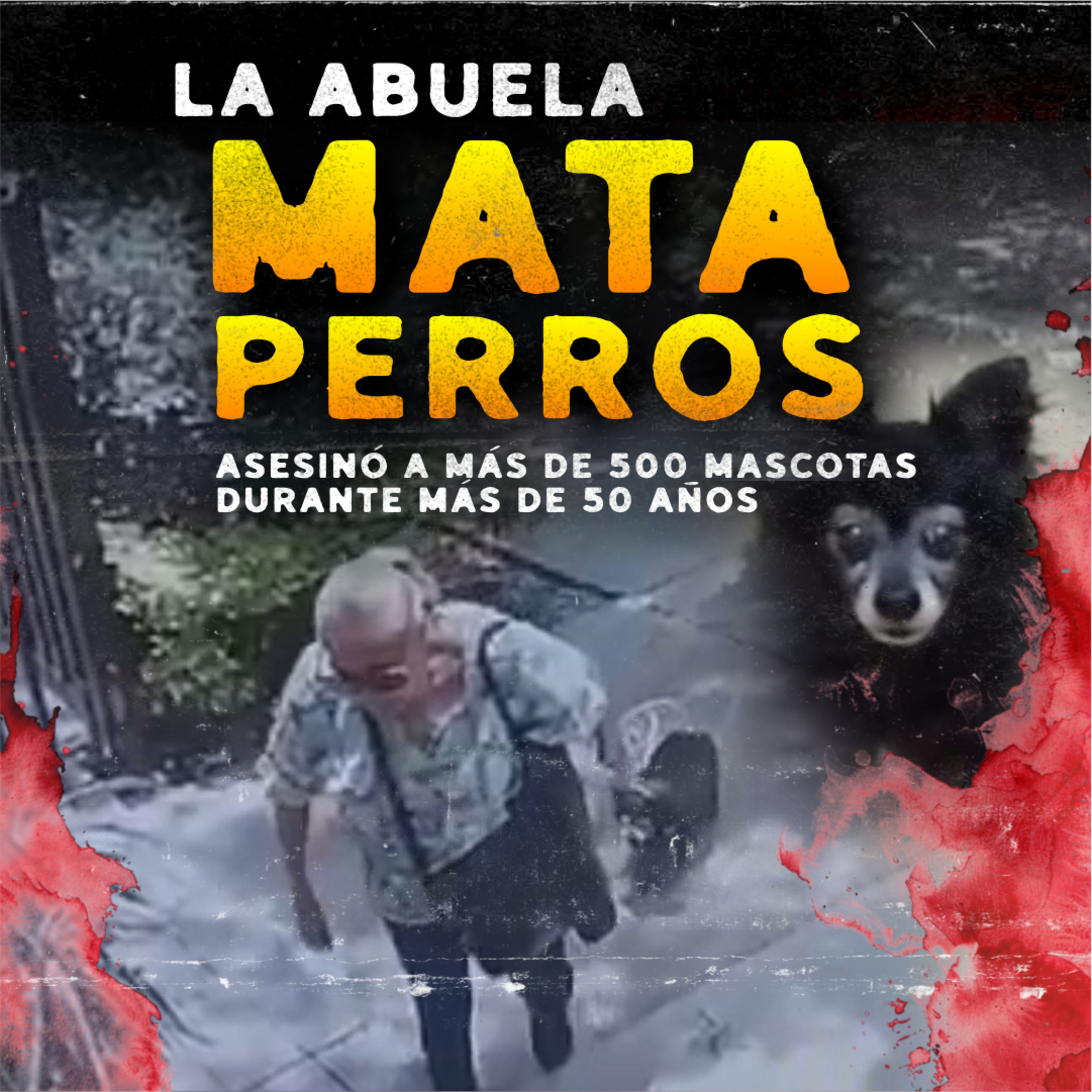 LA “ABUELA MATAPERROS”: El Caso que Indignó a México… y Quedó Sin Cárcel