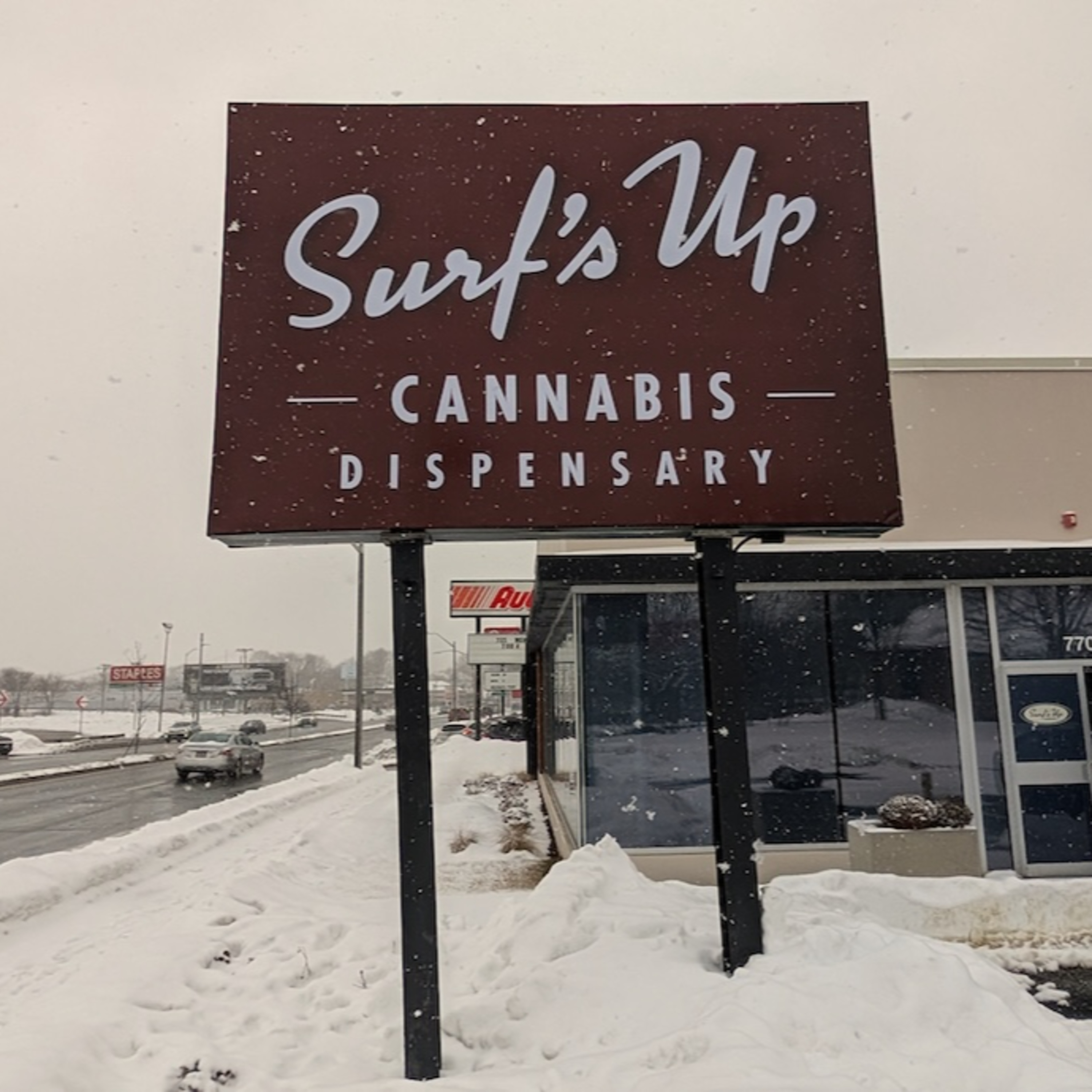 The Business of Cannabis: A Dorchester Perspective episode artwork