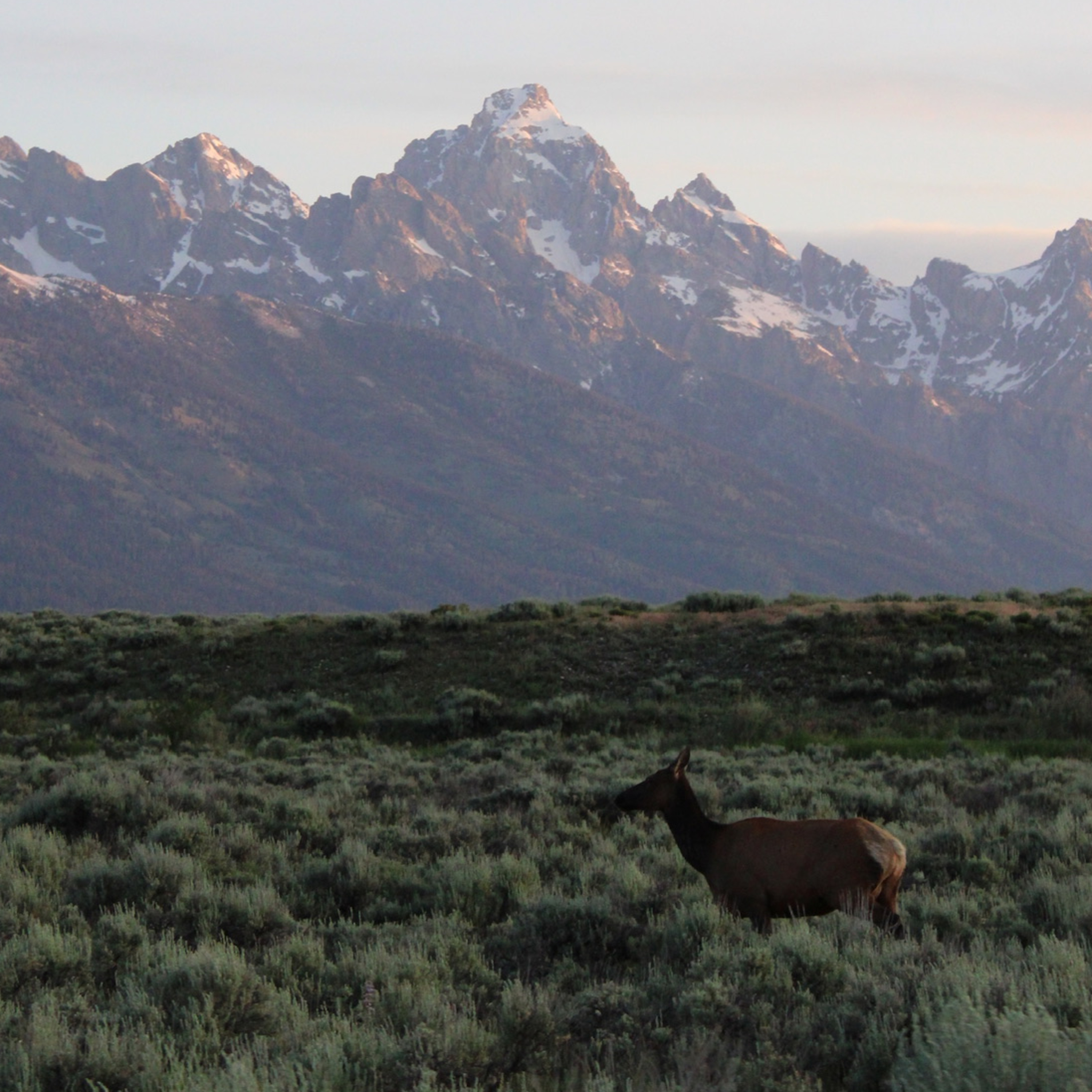Join Us In: Grand Teton National Park  episode artwork