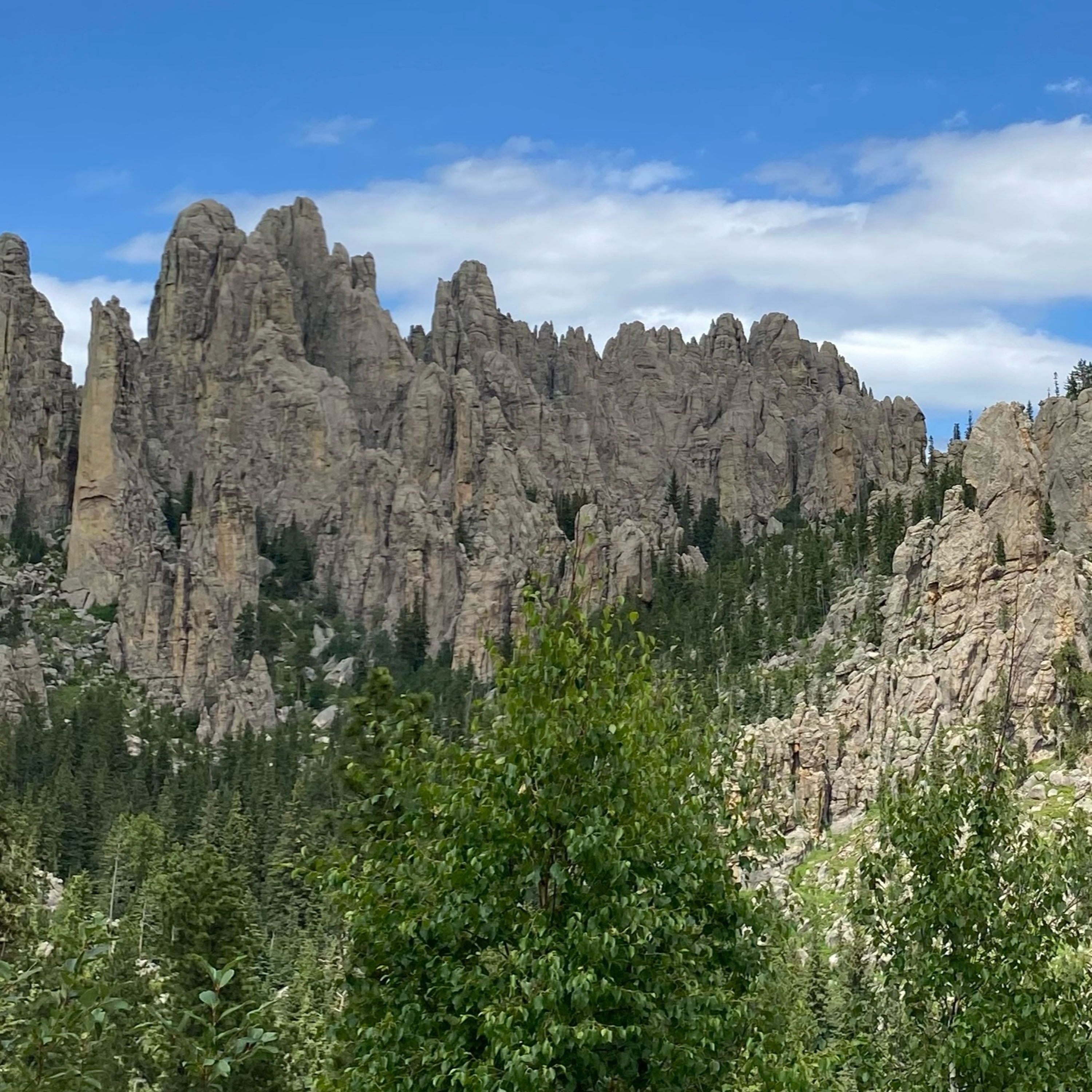 Custer State Park episode artwork