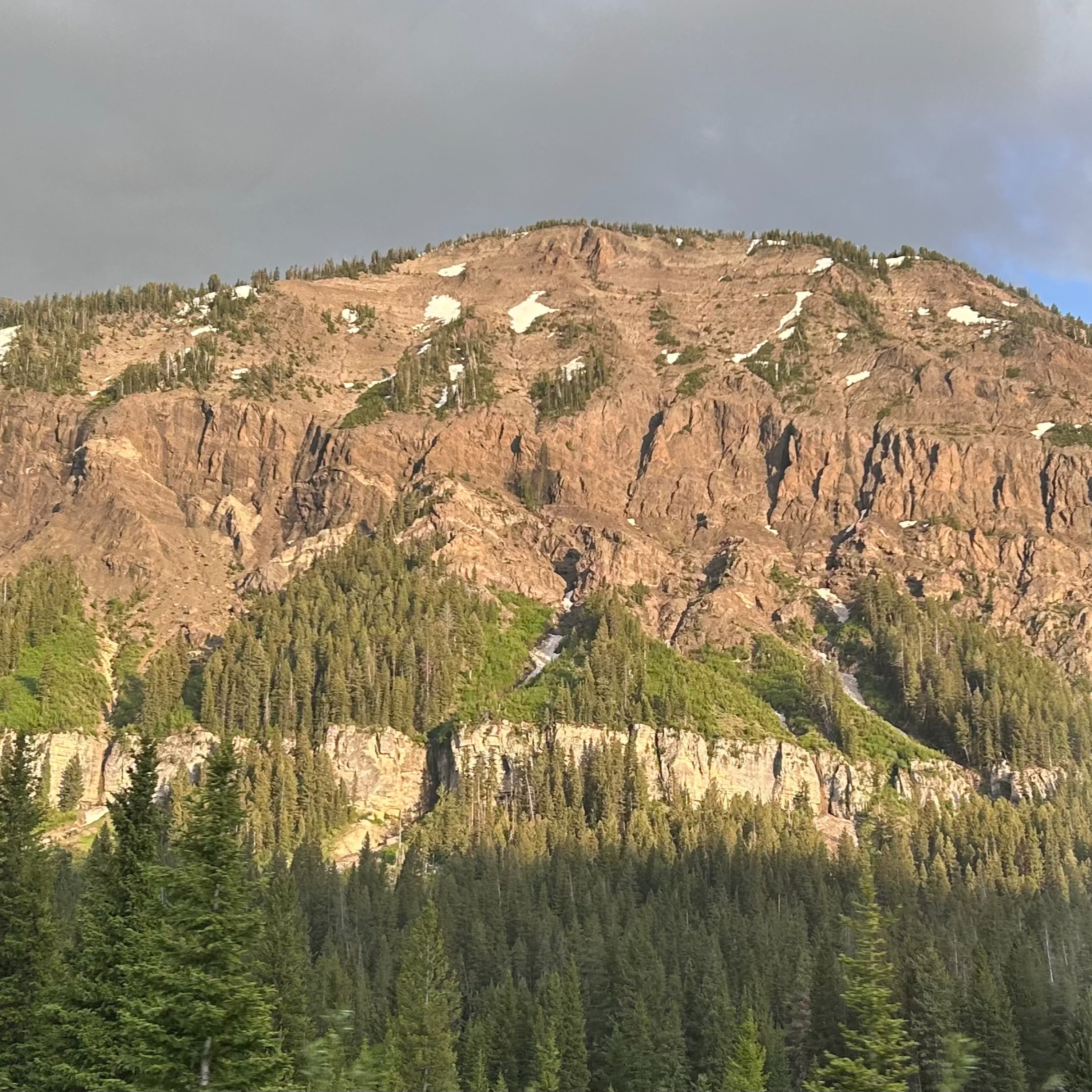 Custer Gallatin National Forest episode artwork