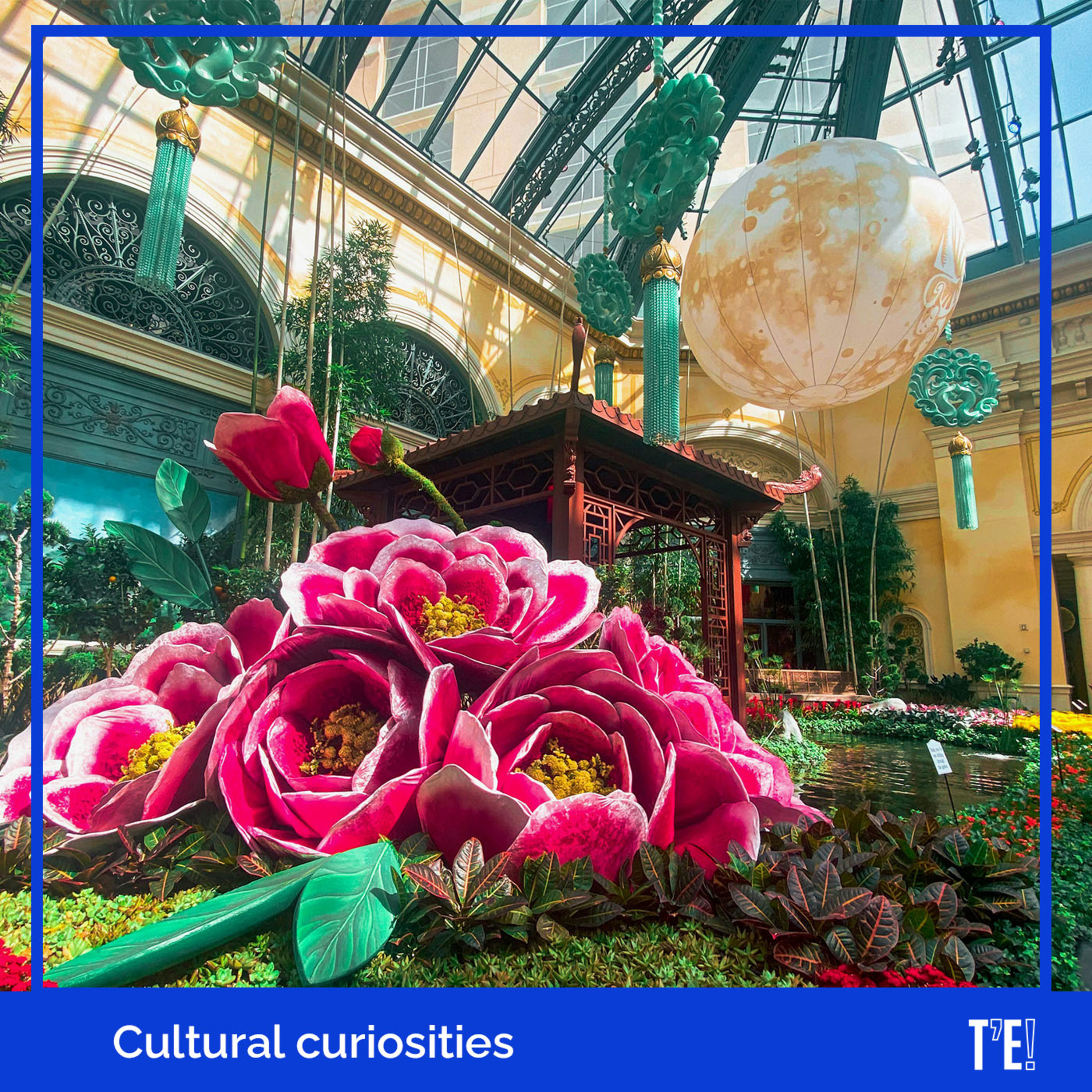 The Chelsea Flower Show episode artwork