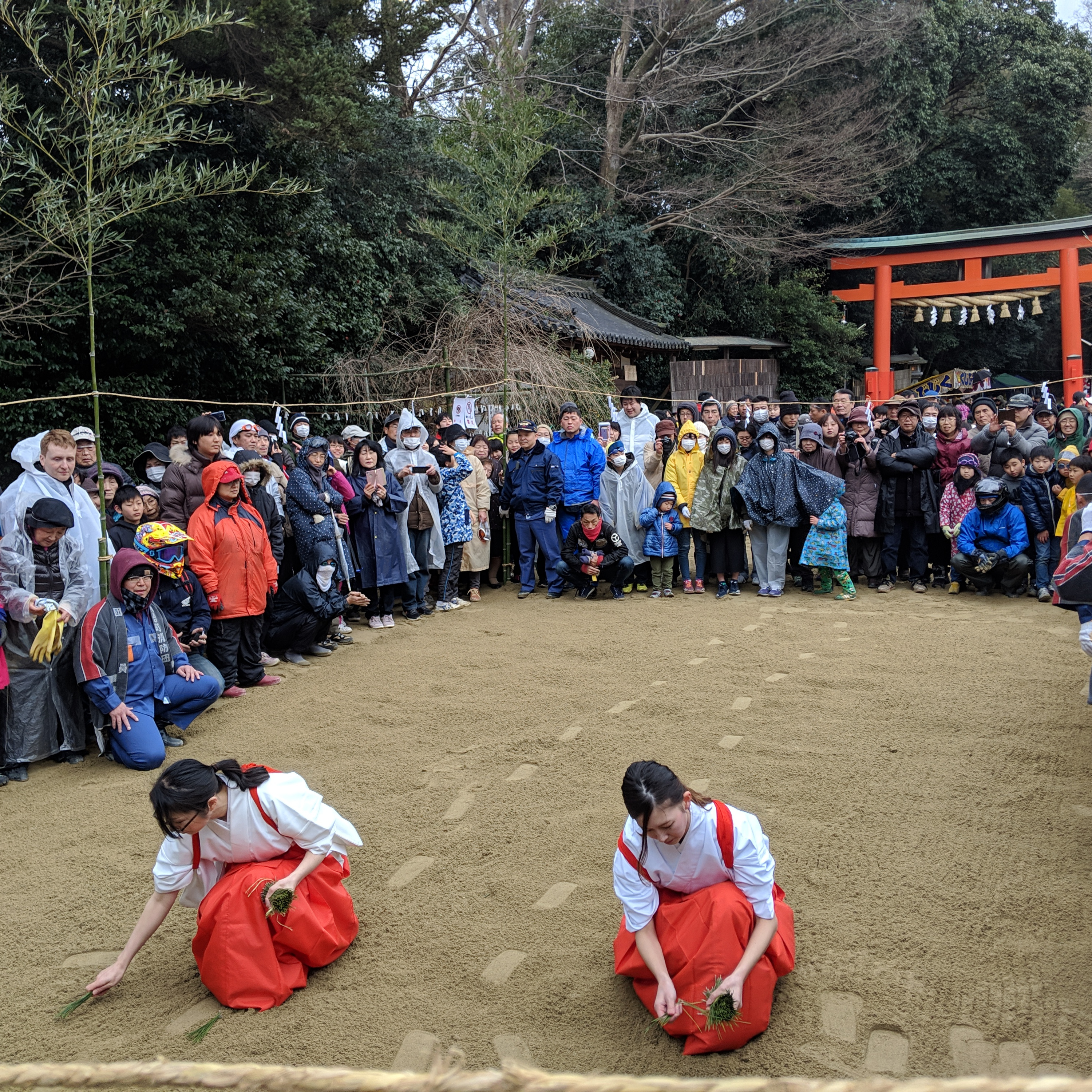 【4-2】お花見のルーツはお米！？　砂かけ祭り【祭りFM】 episode artwork