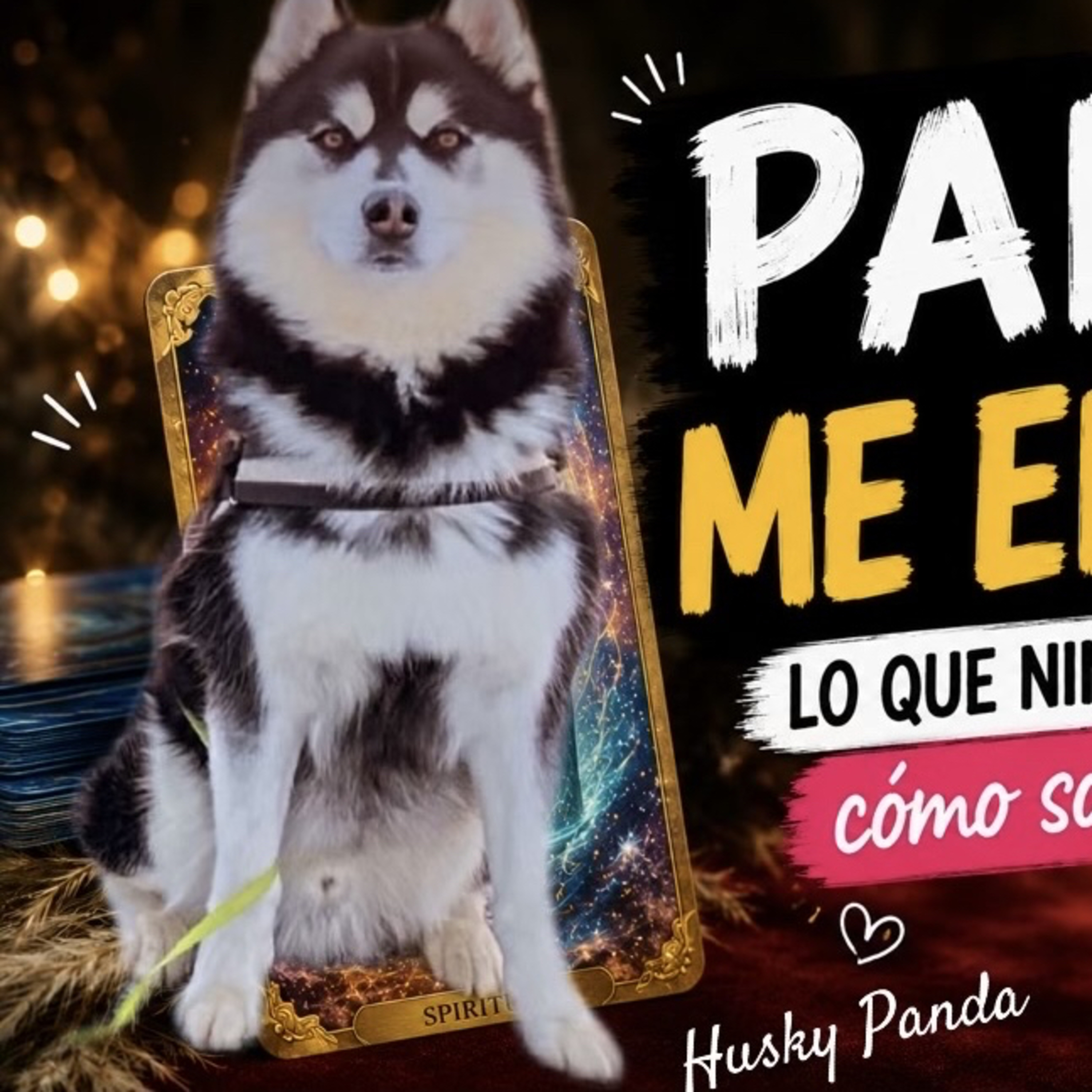 Mi Husky Panda Me Enseñó Lo Que Ningún Libro Pudo: Cómo Soltar y Sanar episode artwork