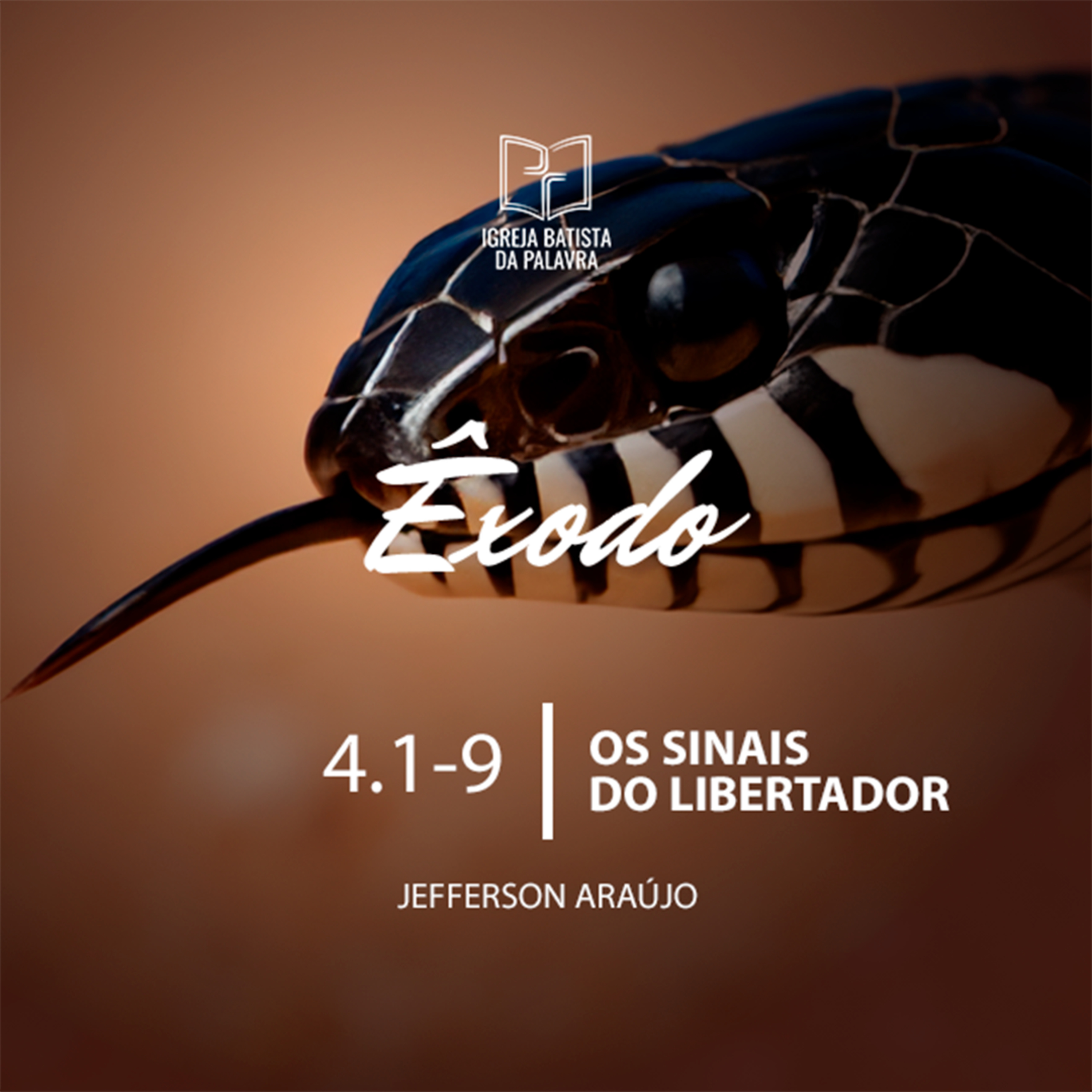 Êxodo 4.1-9 - "Os sinais do libertador" - Jefferson Araújo episode artwork