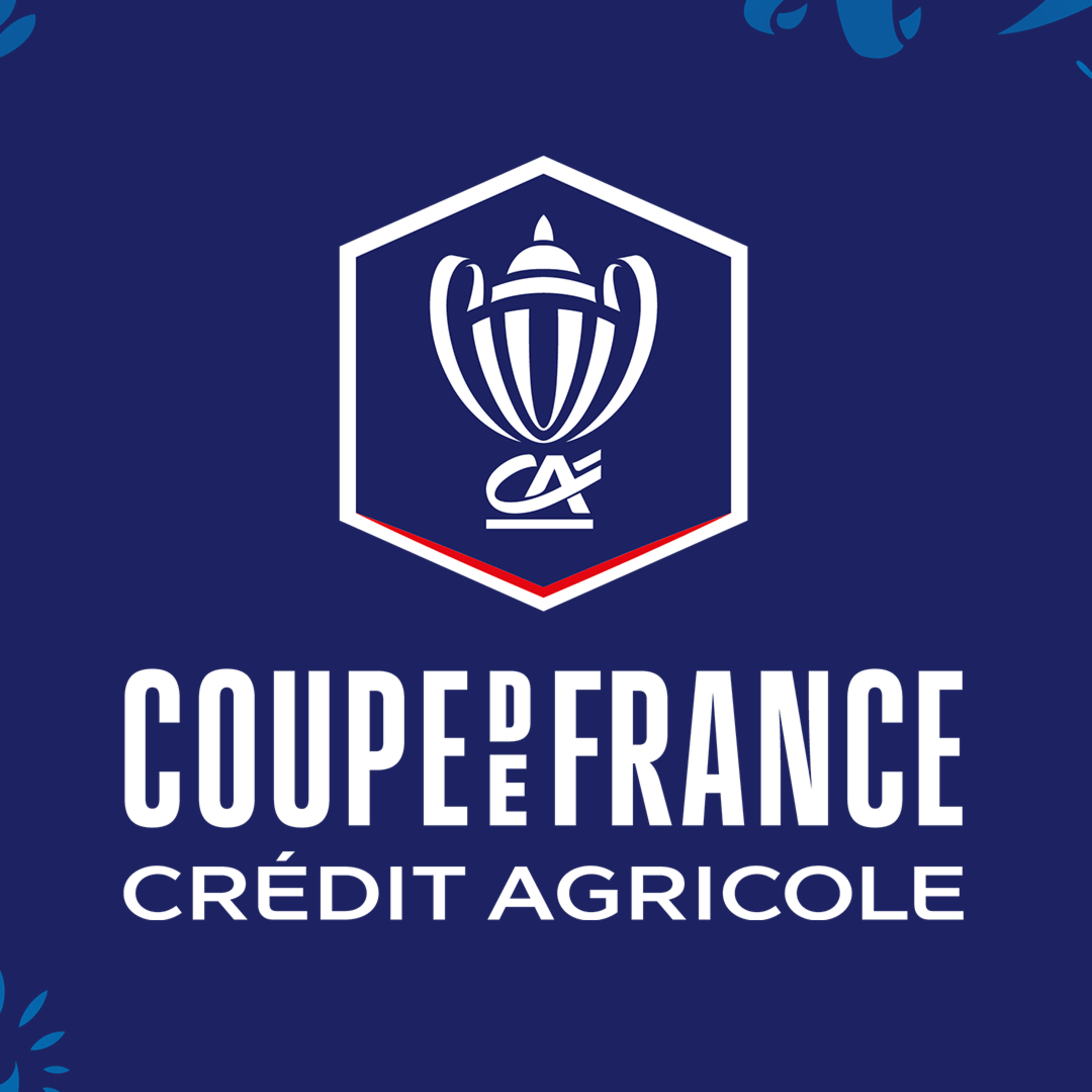 La Coupe de France officiellement relancée ? episode artwork